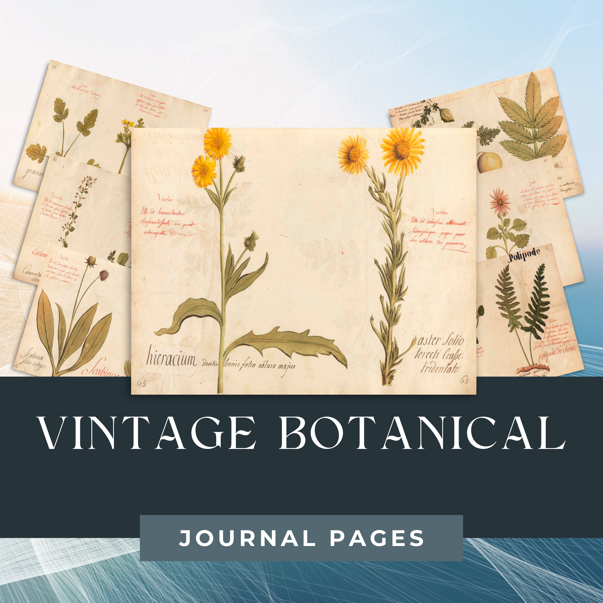 Botanical Junk Journal Kit - Great for Beginner, DIY, Watercolor Plants and Flowers | Digital Download