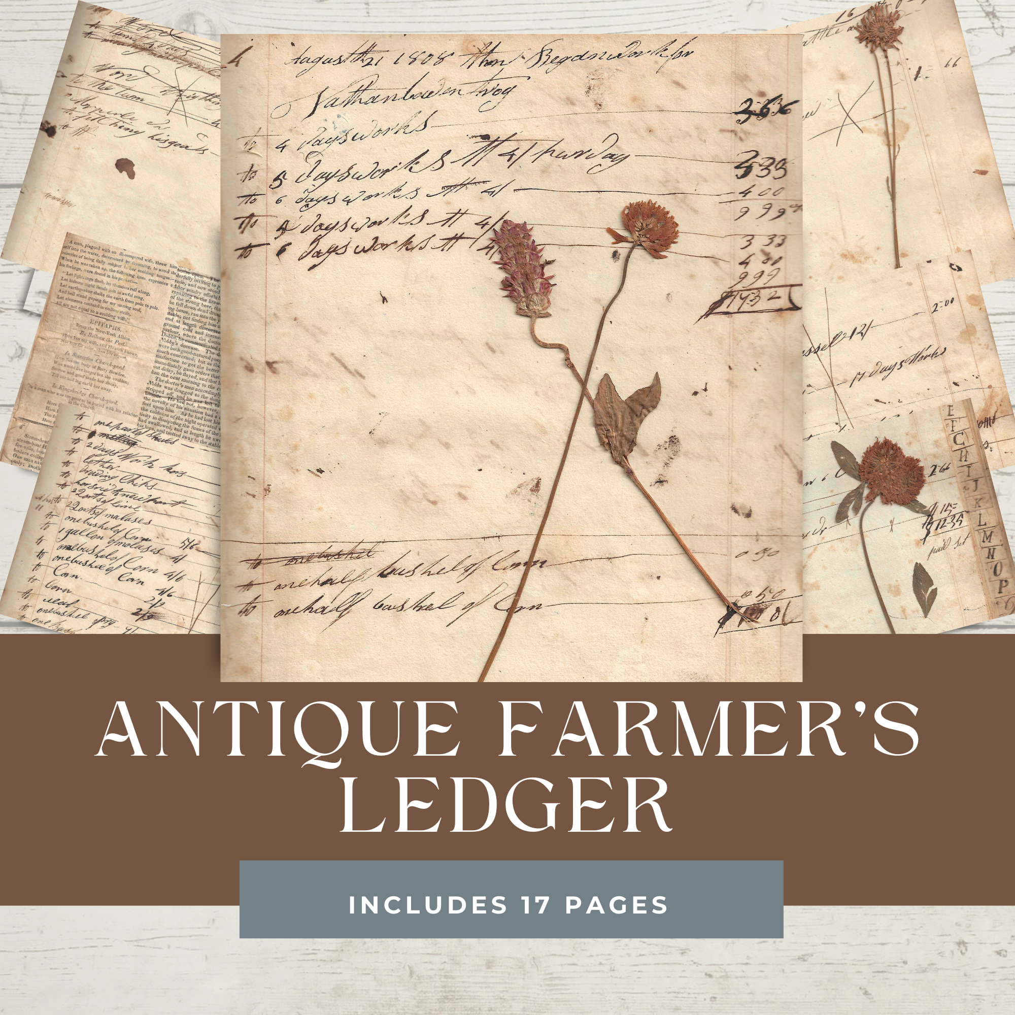 Vintage 1808 Farmer's Accounting Ledger, Printable Ephemera Pack for Junk Journals and Mixed Media - Digital Download
