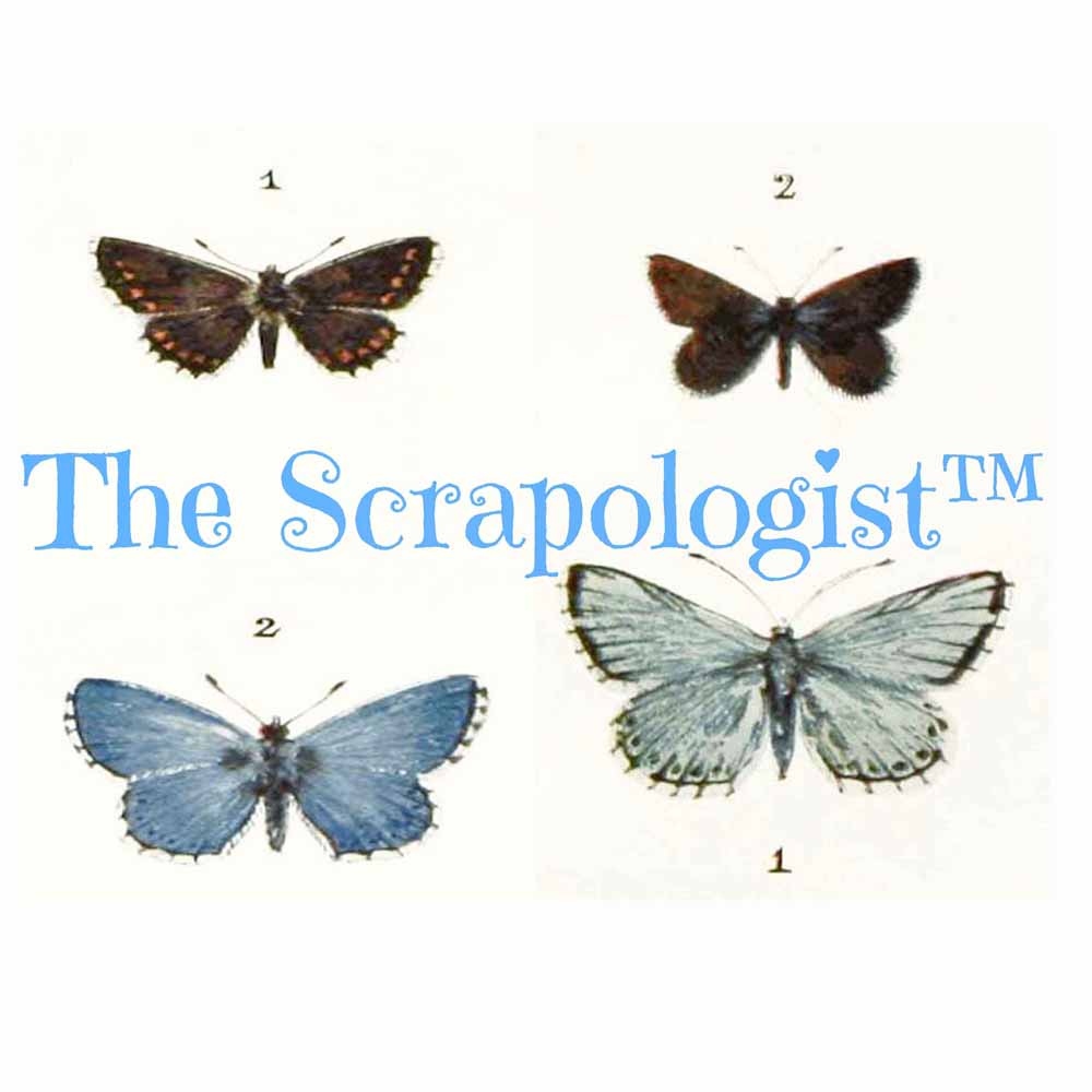 Butterflies & Caterpillars, DIY Junk Journal or Mini Album Kit, Fussy Cut Vintage Ephemera, Page Inserts, Collage Papers | Digital Download