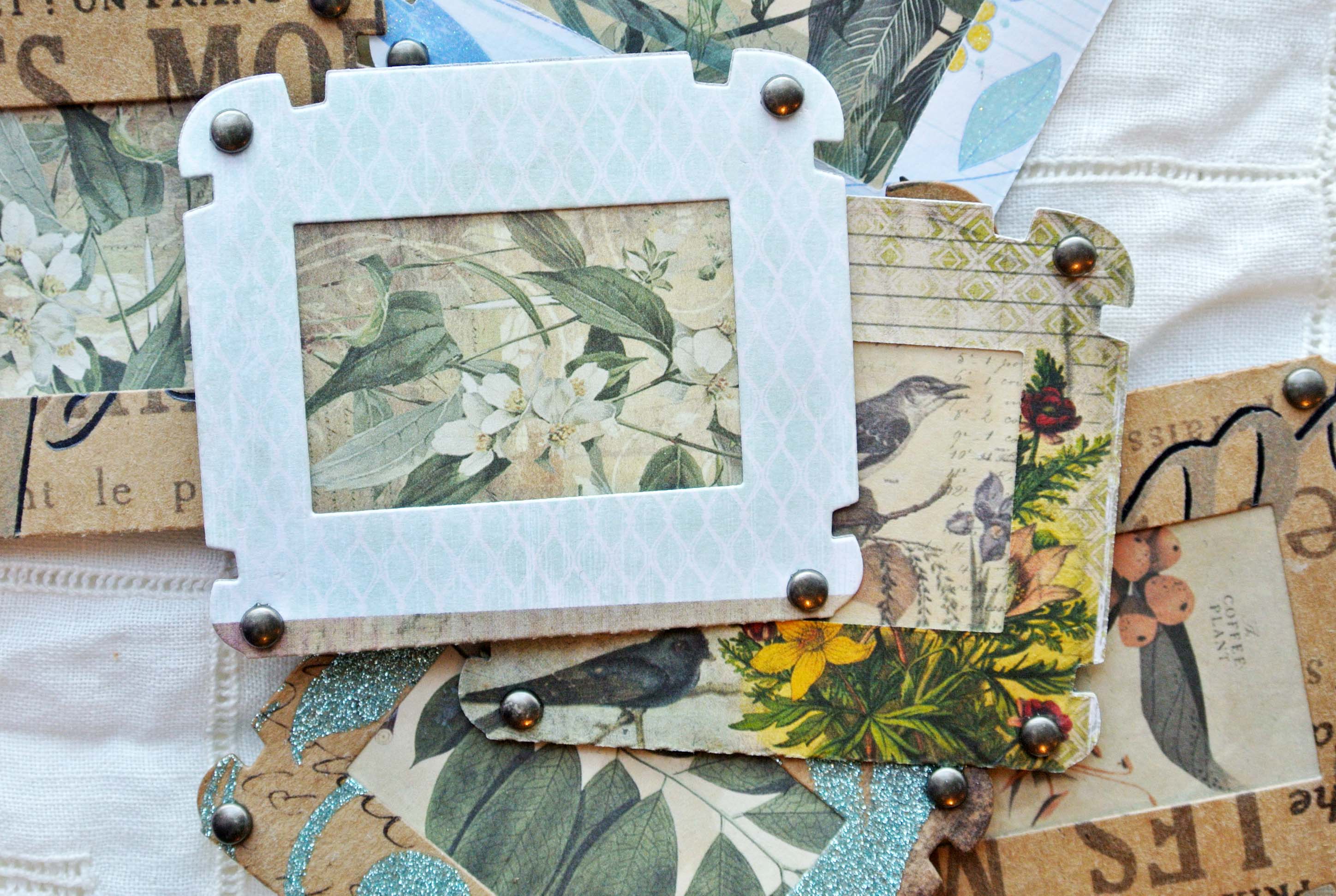 Specimen Slide Cards, Junk Journal Ephemera Handmade, Botanical, Field Notes