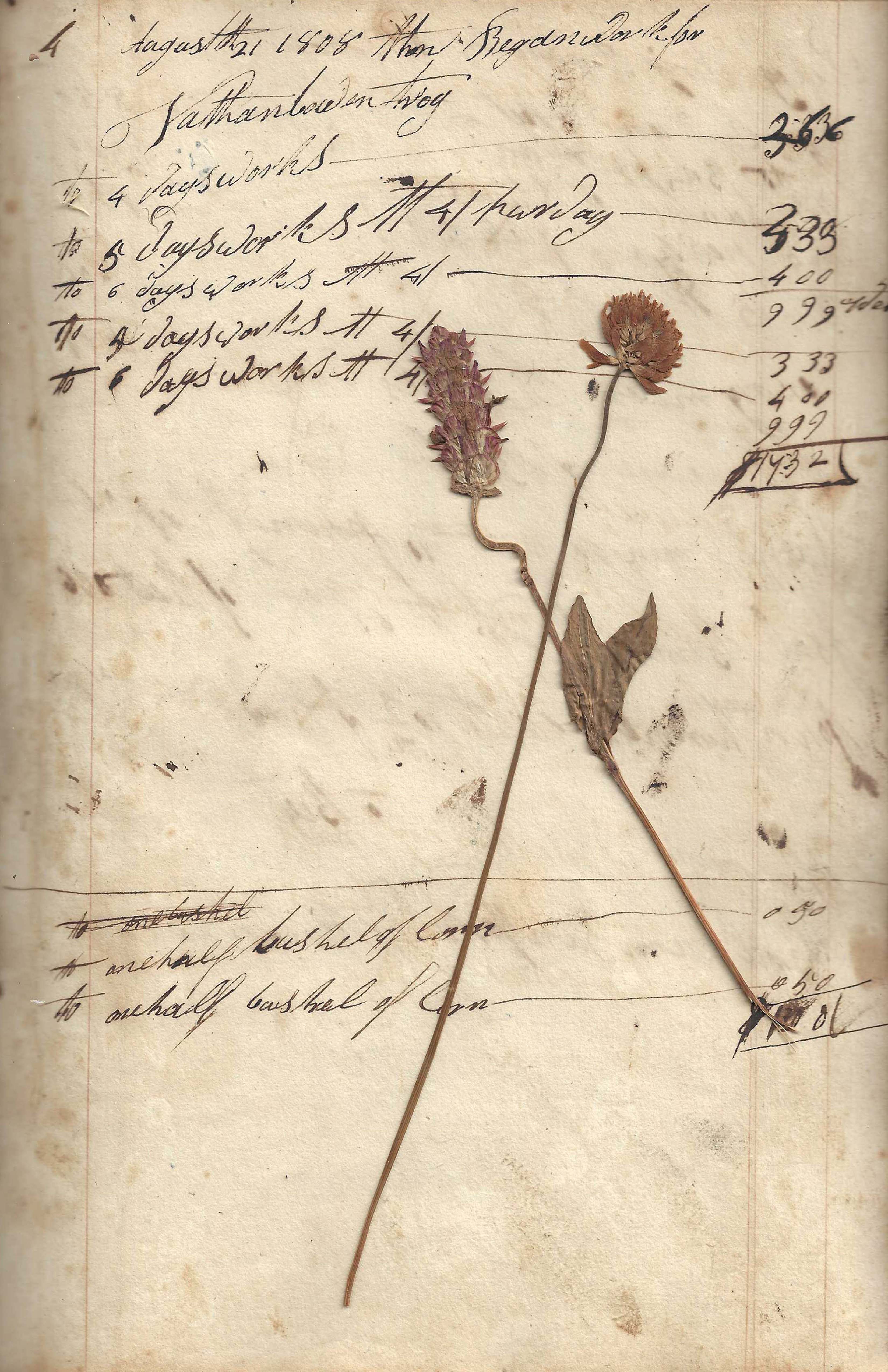 Vintage 1808 Farmer's Accounting Ledger, Printable Ephemera Pack for Junk Journals and Mixed Media - Digital Download