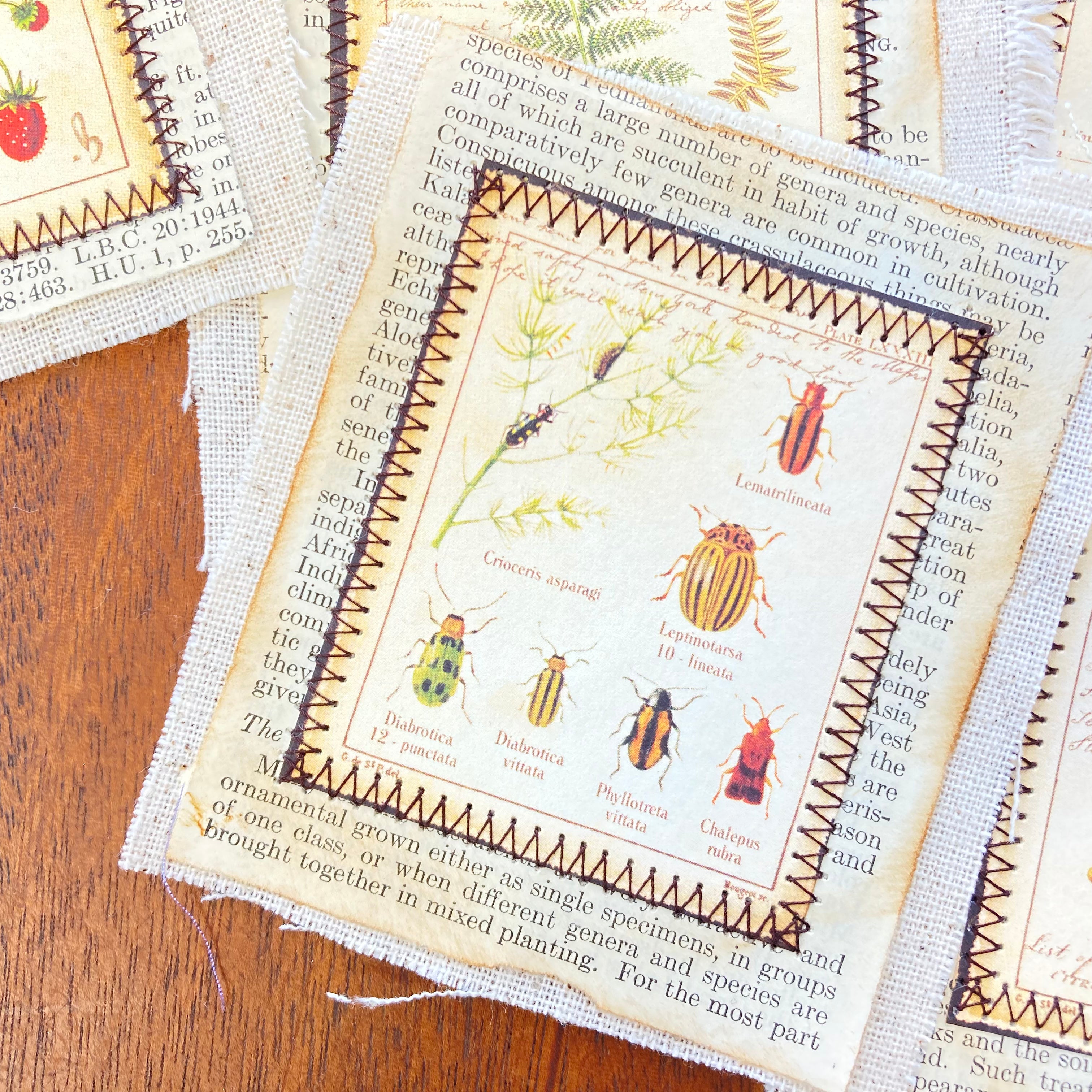 Fabric Flip Botanical Theme Ephemera for Junk Journal - set of 8