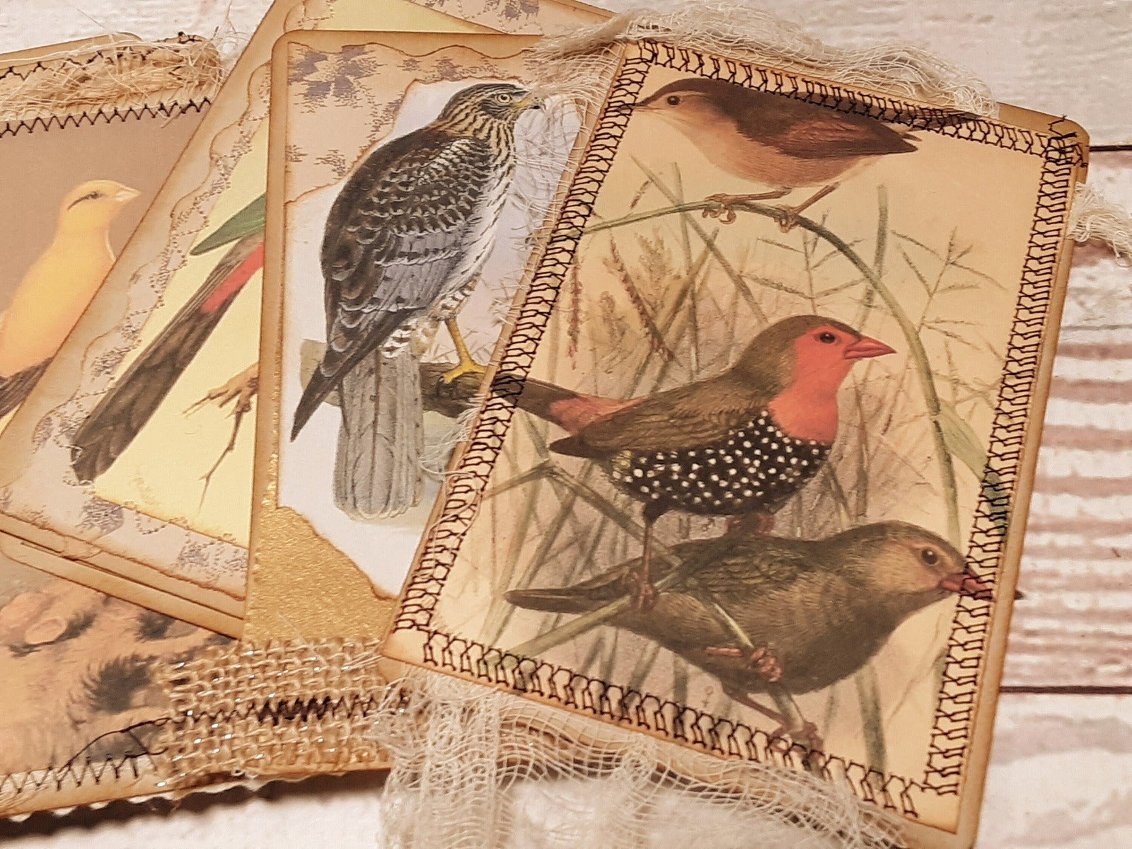 Journal Cards, Vintage Birds, Handmade Junk Journal Supplies, Ephemera - set of 6