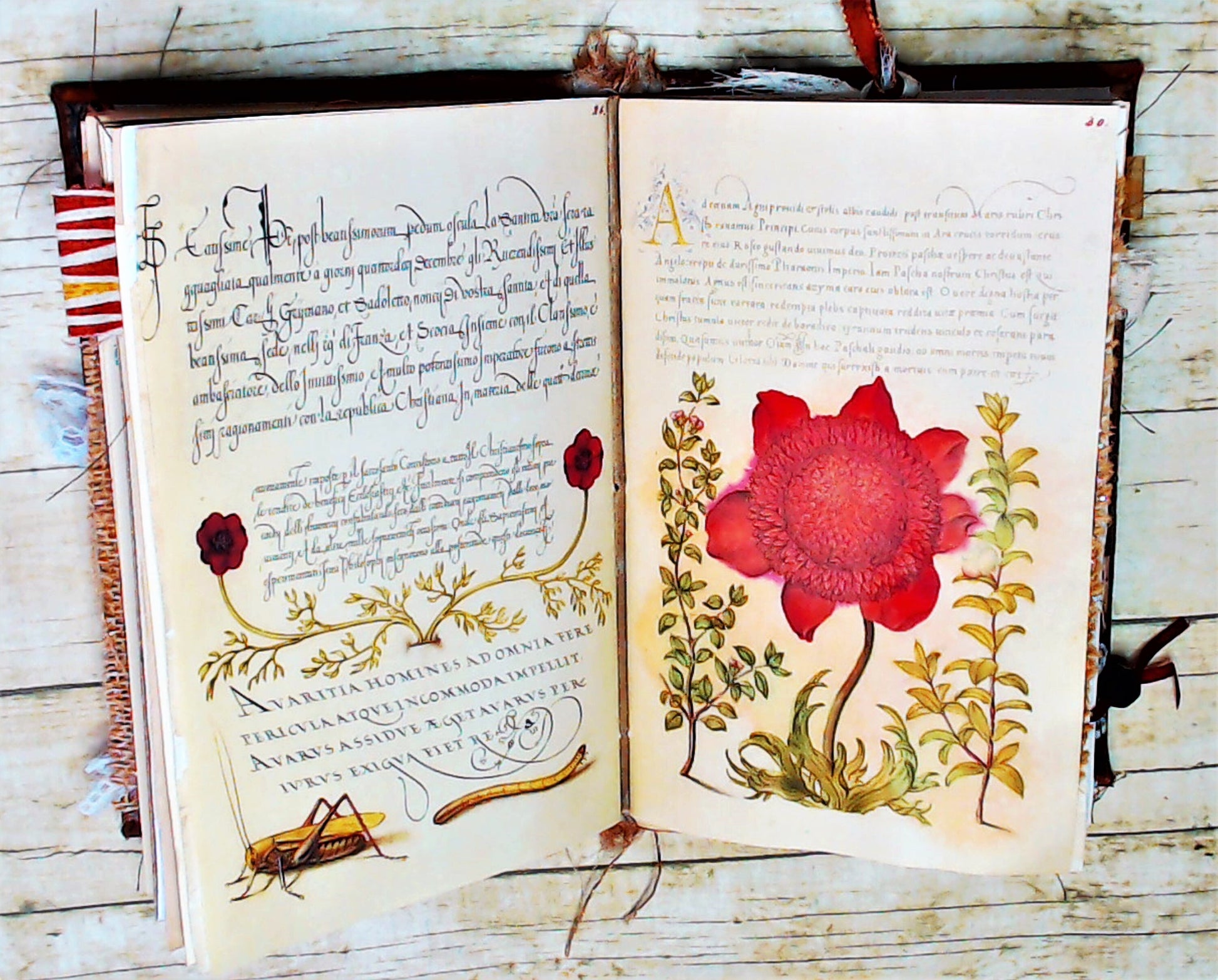 Calligraphy & Flowers, Junk Journal Ephemera, Printable Journal Kit, Collage papers | Digital Download