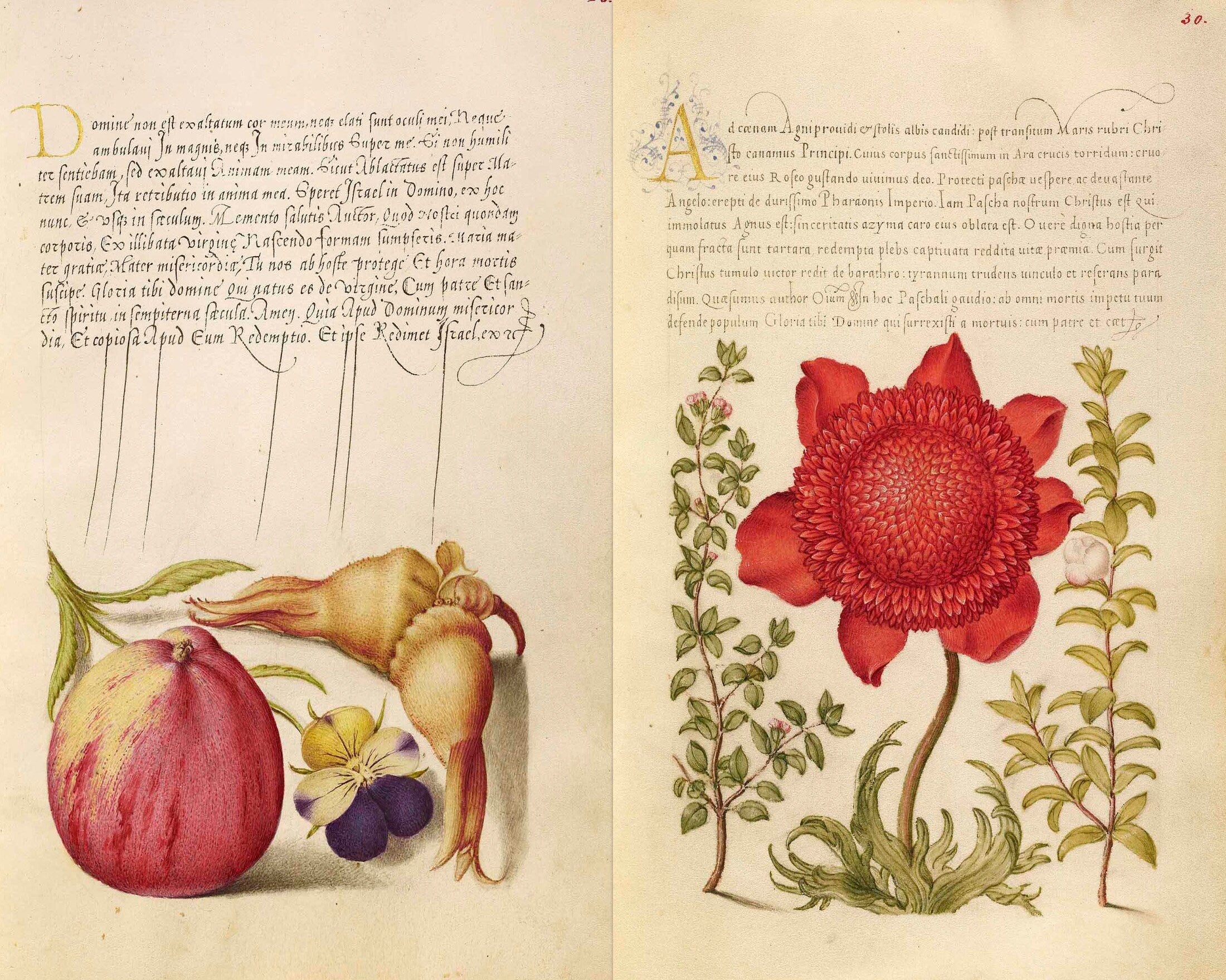 Calligraphy & Flowers, Junk Journal Ephemera, Printable Journal Kit, Collage papers | Digital Download