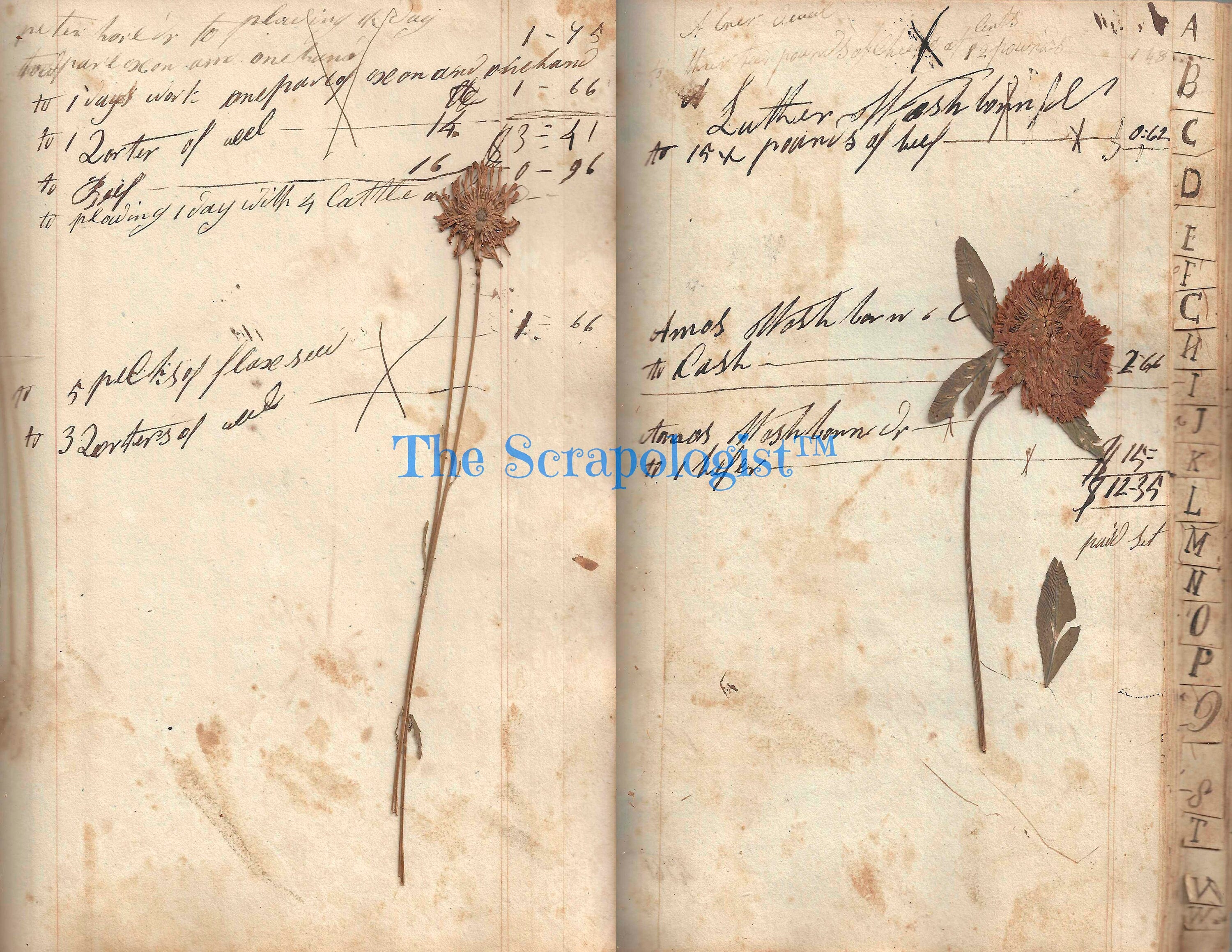 Antique Farmer's Accounting Ledger, Junk Journal Page Inserts, from 1808, Printable Ephemera Pack | Digital Download