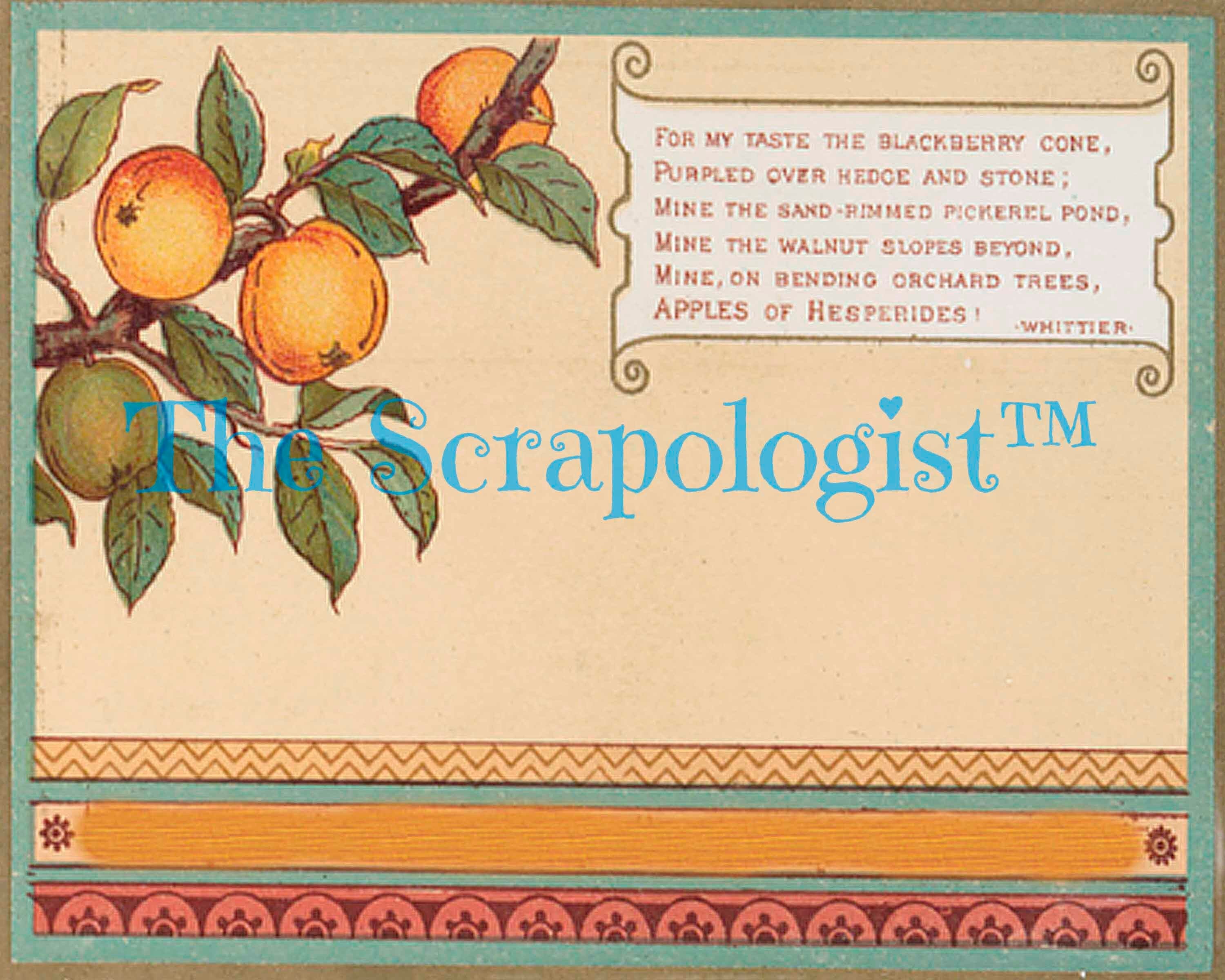 Vintage Fall Junk Journal Kit, Autumn Harvest Ephemera, Use as Pockets or Journal Cards | Digital Download, Printable