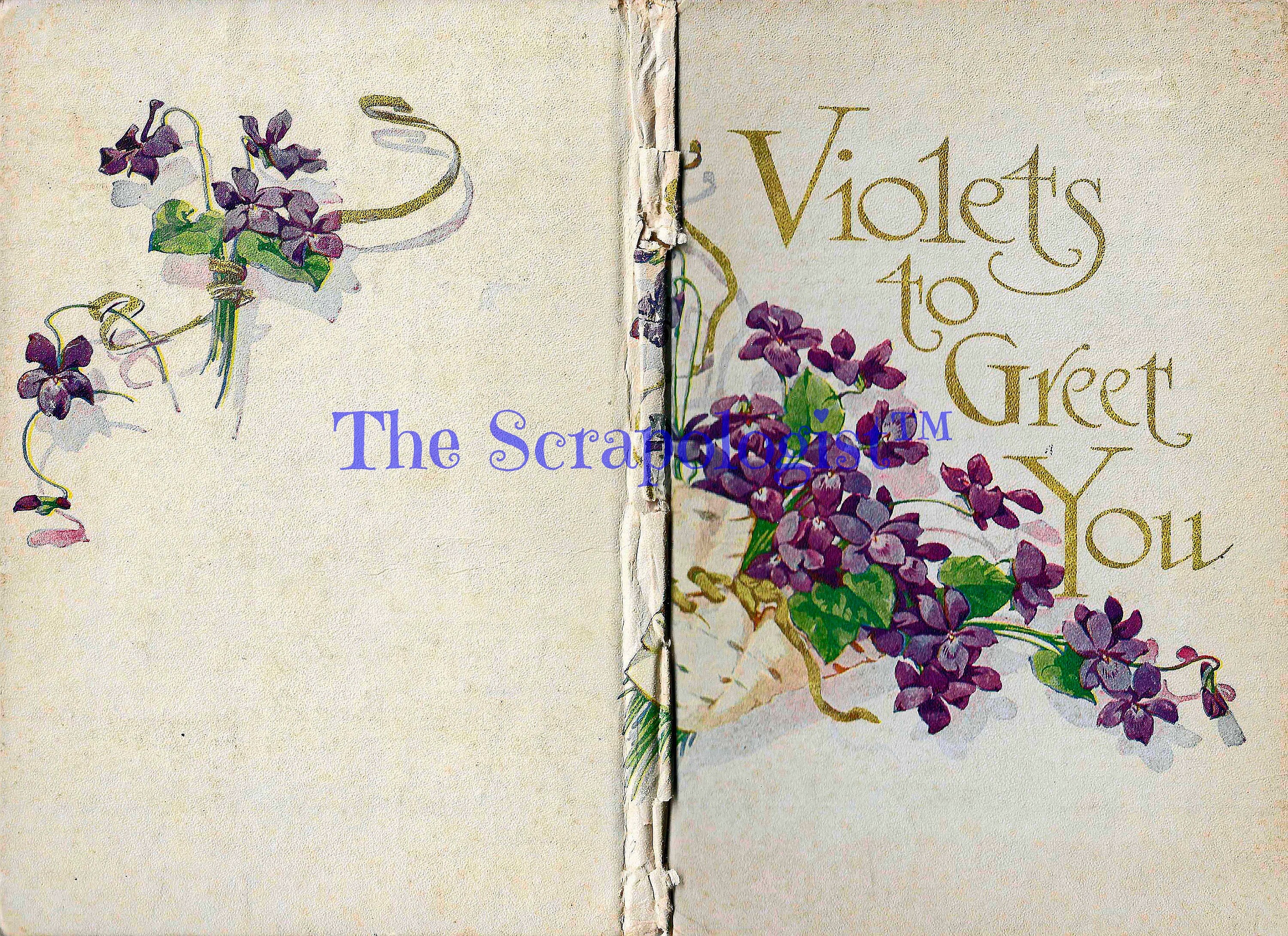 Book of Violets, Victorian Poetry illustrated with color paintings, DIY Junk Journal or Mini Album Kit, Collage Papers | Digital Download