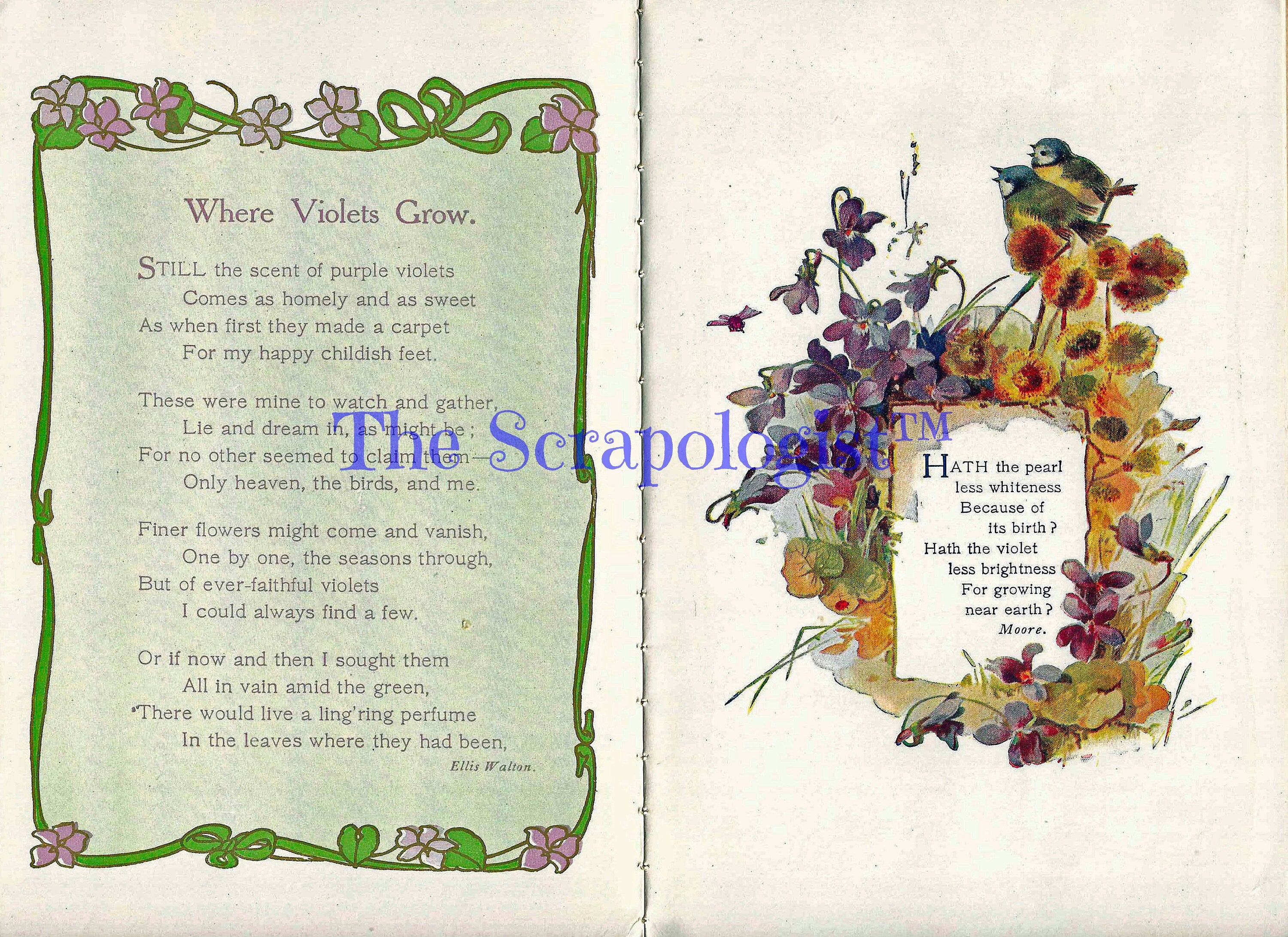 Book of Violets, Victorian Poetry illustrated with color paintings, DIY Junk Journal or Mini Album Kit, Collage Papers | Digital Download