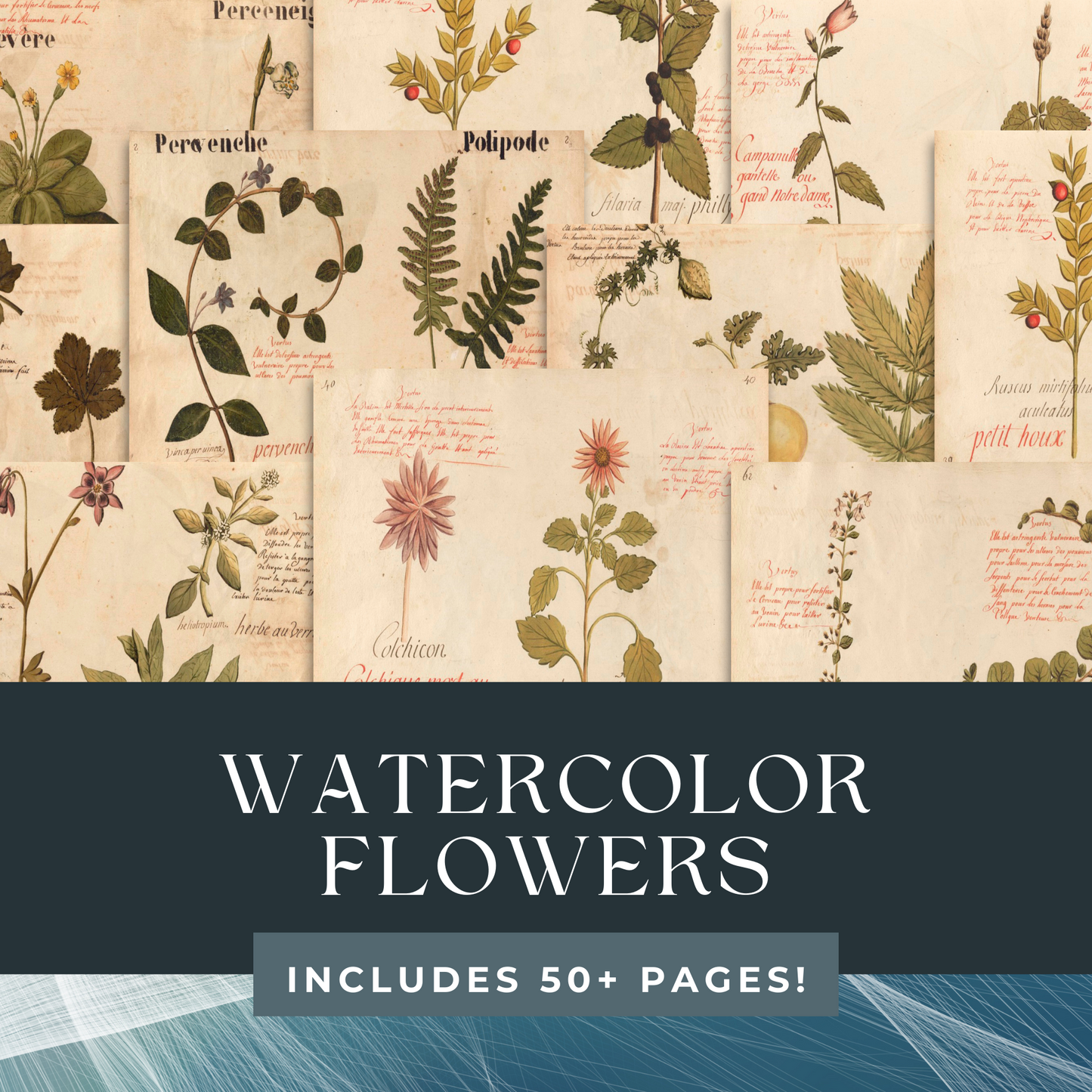Botanical Junk Journal Kit - Great for Beginner, DIY, Watercolor Plants and Flowers | Digital Download