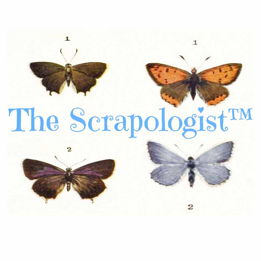 Butterflies & Caterpillars, DIY Junk Journal or Mini Album Kit, Fussy Cut Vintage Ephemera, Page Inserts, Collage Papers | Digital Download