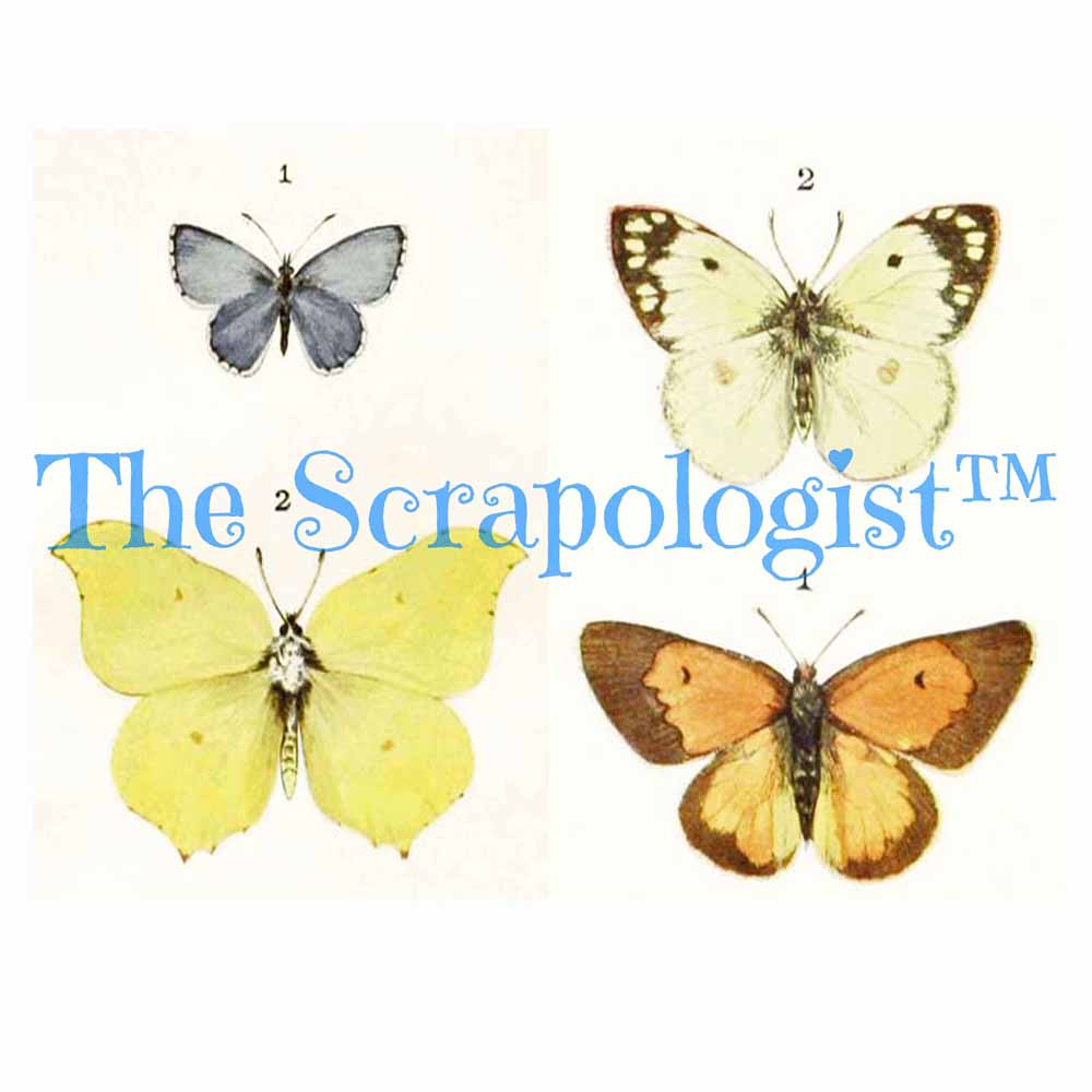 Butterflies & Caterpillars, DIY Junk Journal or Mini Album Kit, Fussy Cut Vintage Ephemera, Page Inserts, Collage Papers | Digital Download