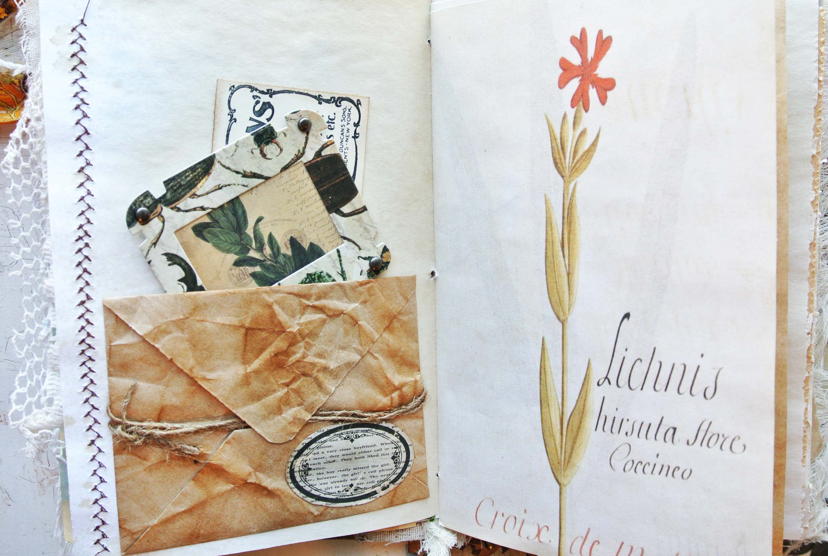 Specimen Slide Cards, Junk Journal Ephemera Handmade, Botanical, Field Notes
