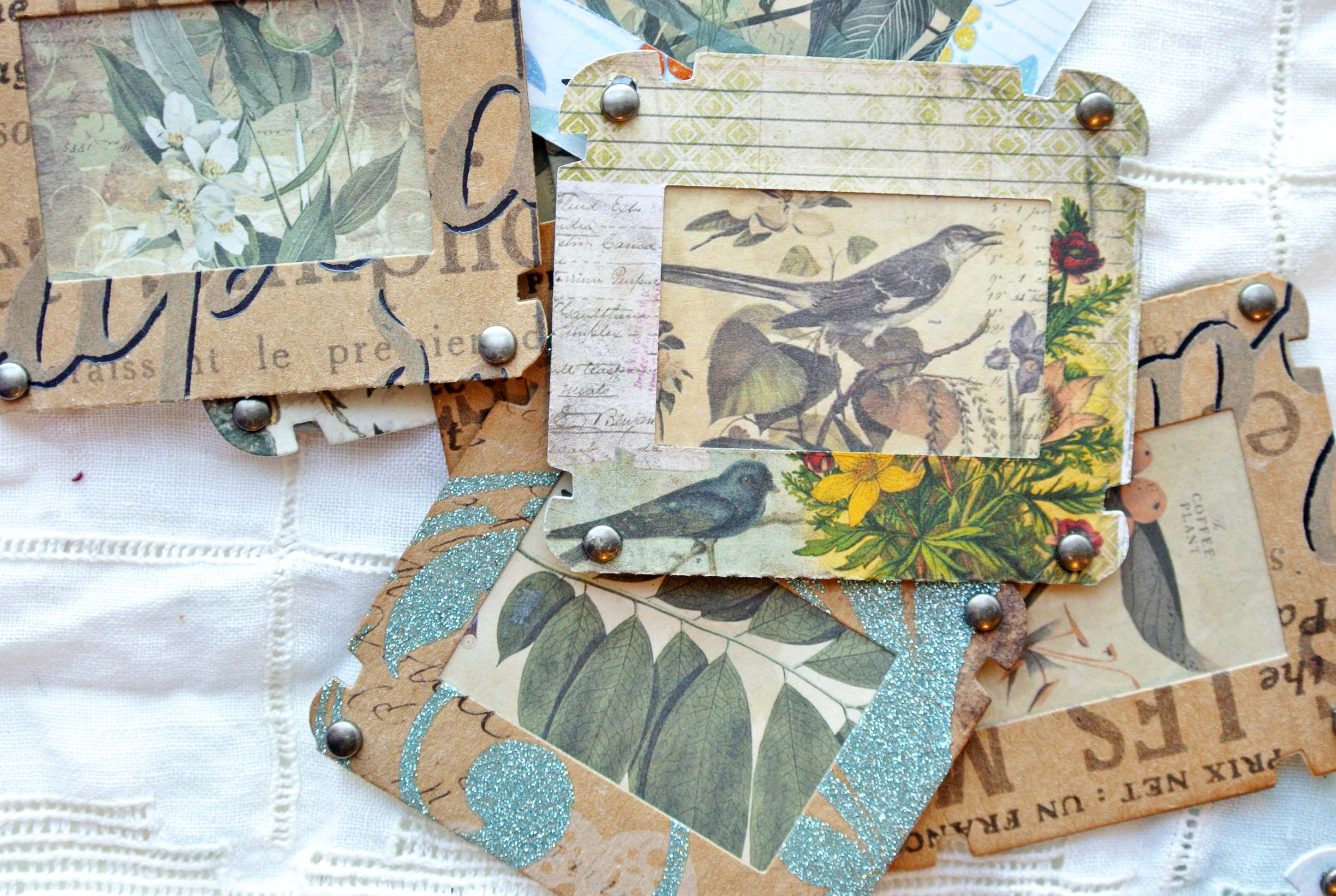 Specimen Slide Cards, Junk Journal Ephemera Handmade, Botanical, Field Notes