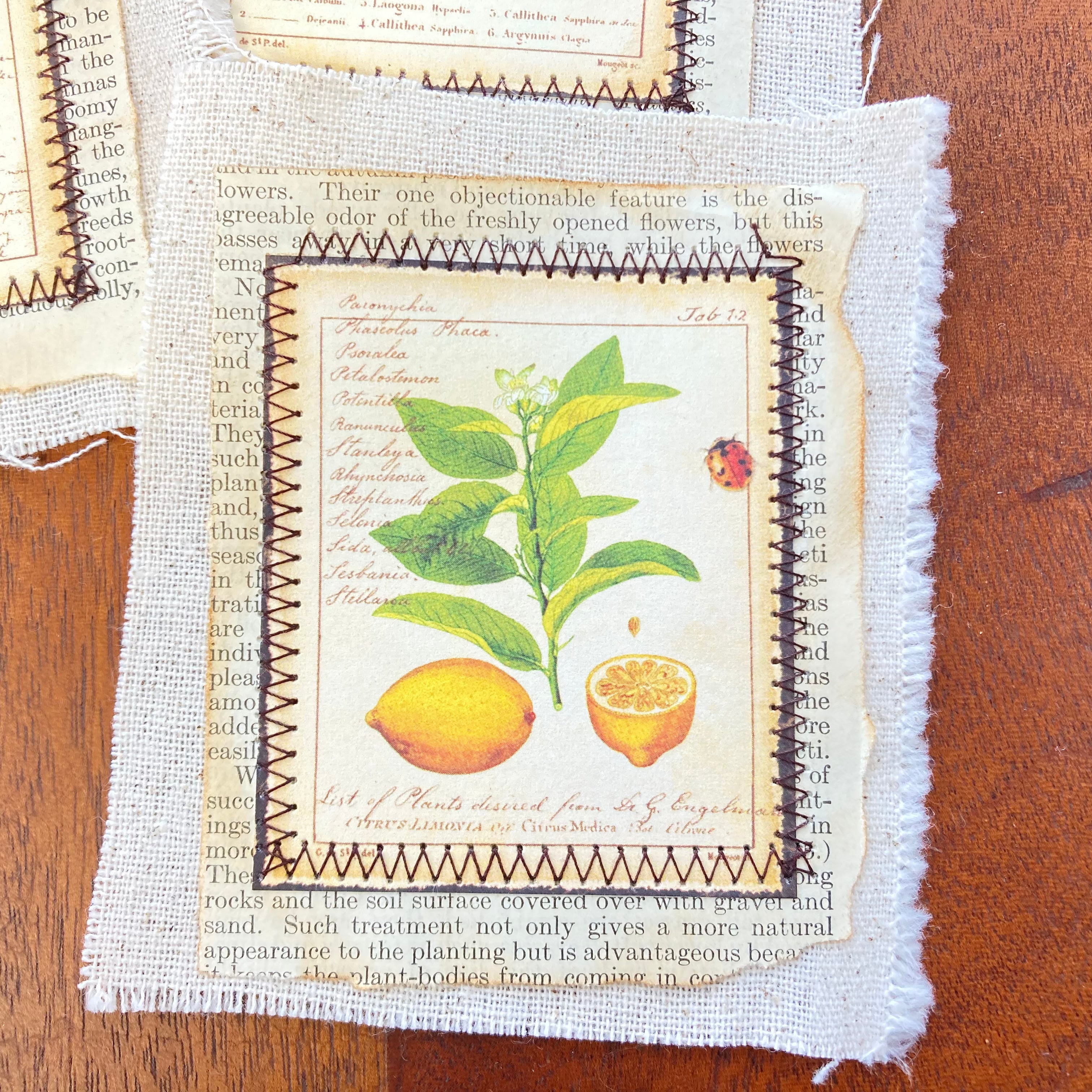 Fabric Flip Botanical Theme Ephemera for Junk Journal - set of 8