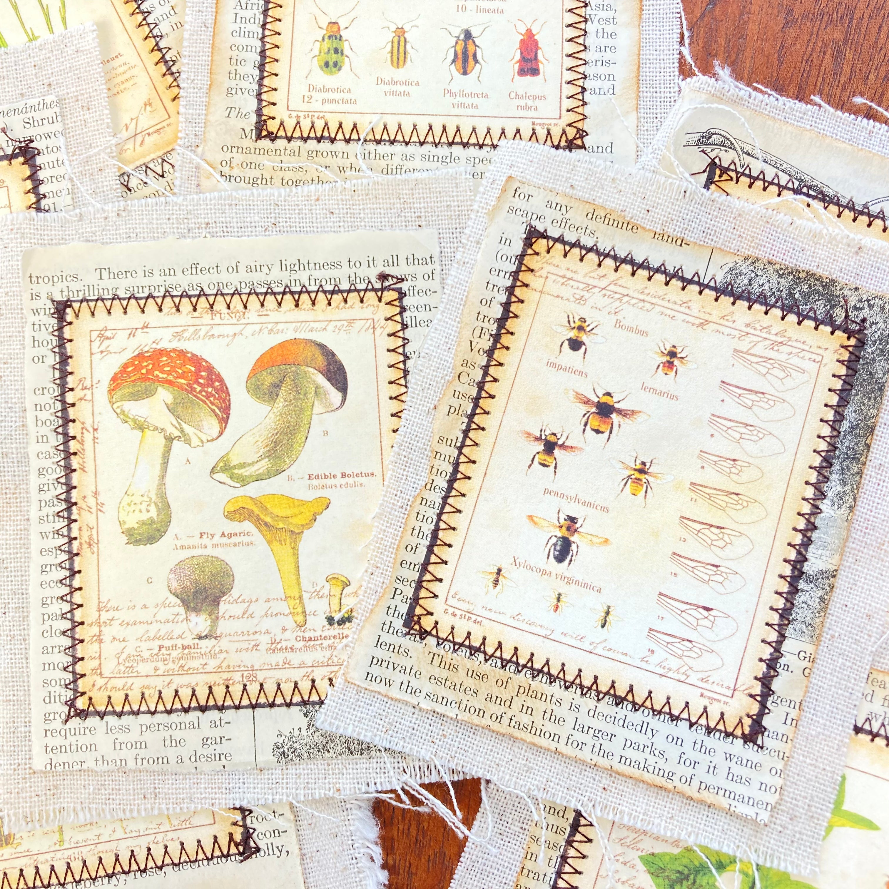 Fabric Flip Botanical Theme Ephemera for Junk Journal - set of 8
