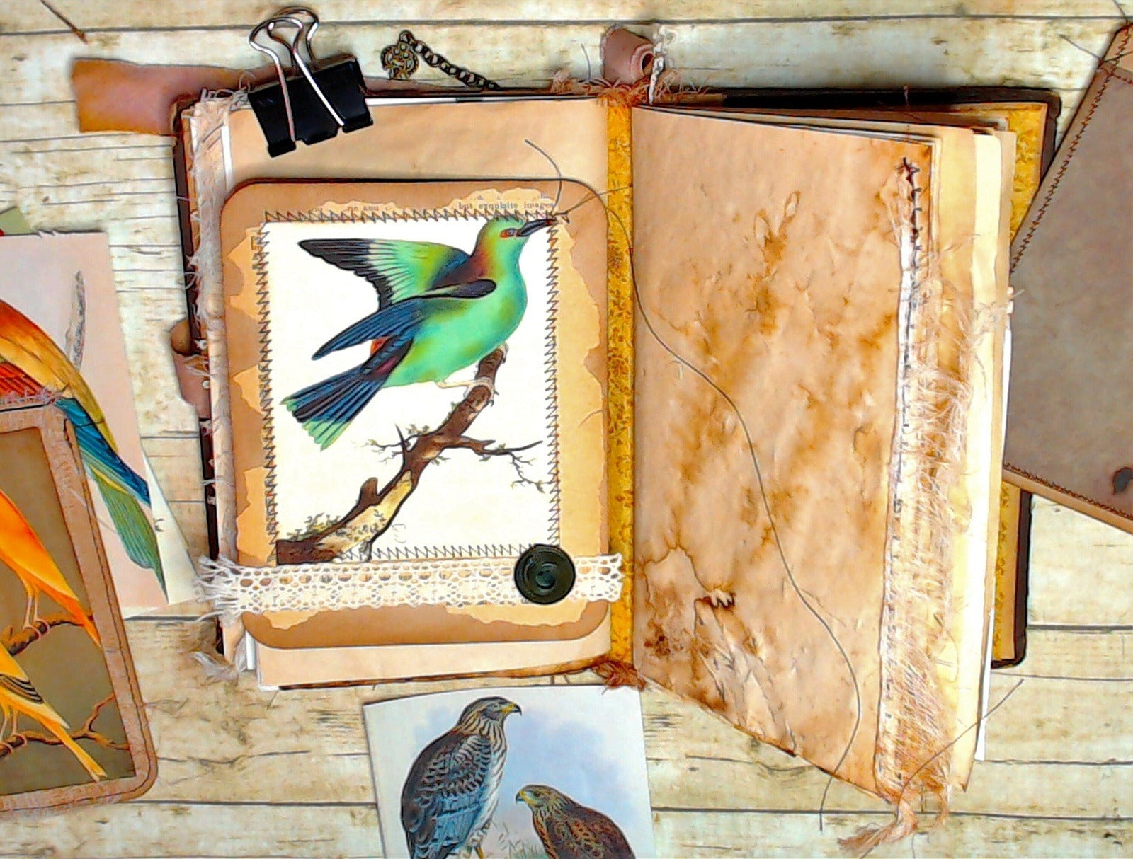 Journal Cards, Vintage Birds, Handmade Junk Journal Supplies, Ephemera - set of 6
