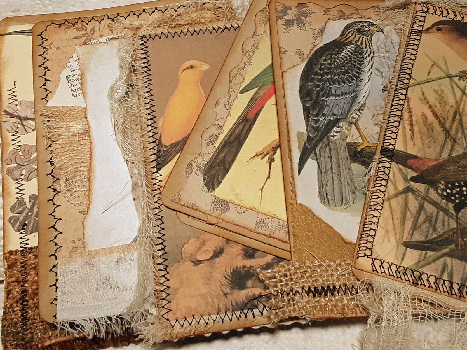 Journal Cards, Vintage Birds, Handmade Junk Journal Supplies, Ephemera - set of 6