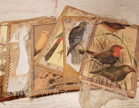 Journal Cards, Vintage Birds, Handmade Junk Journal Supplies, Ephemera - set of 6