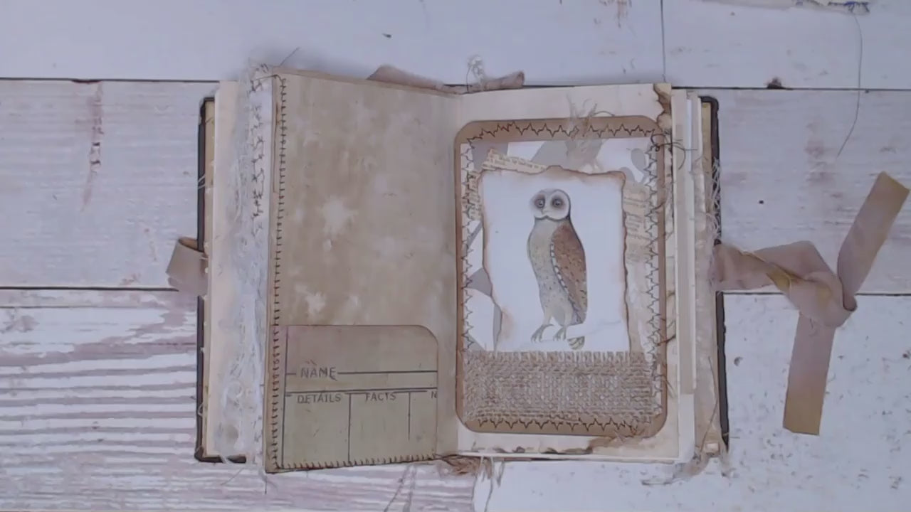 Journal Cards, Vintage Birds, Handmade Junk Journal Supplies, Ephemera - set of 6