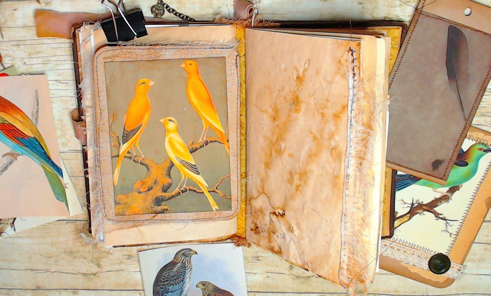 Journal Cards, Vintage Birds, Handmade Junk Journal Supplies, Ephemera - set of 6