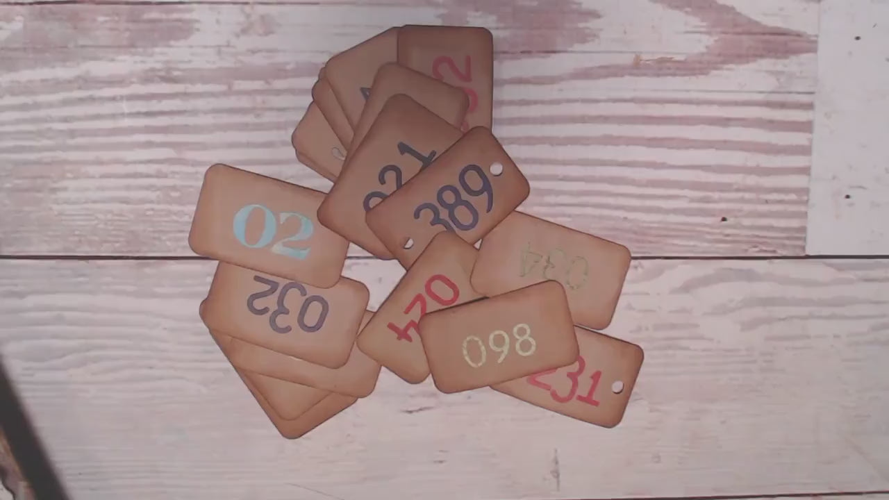 Numbered Tags, Vintage Style, Set of 20, Junk Journal, Mixed Media, Collage, Ephemera Kit, Handmade