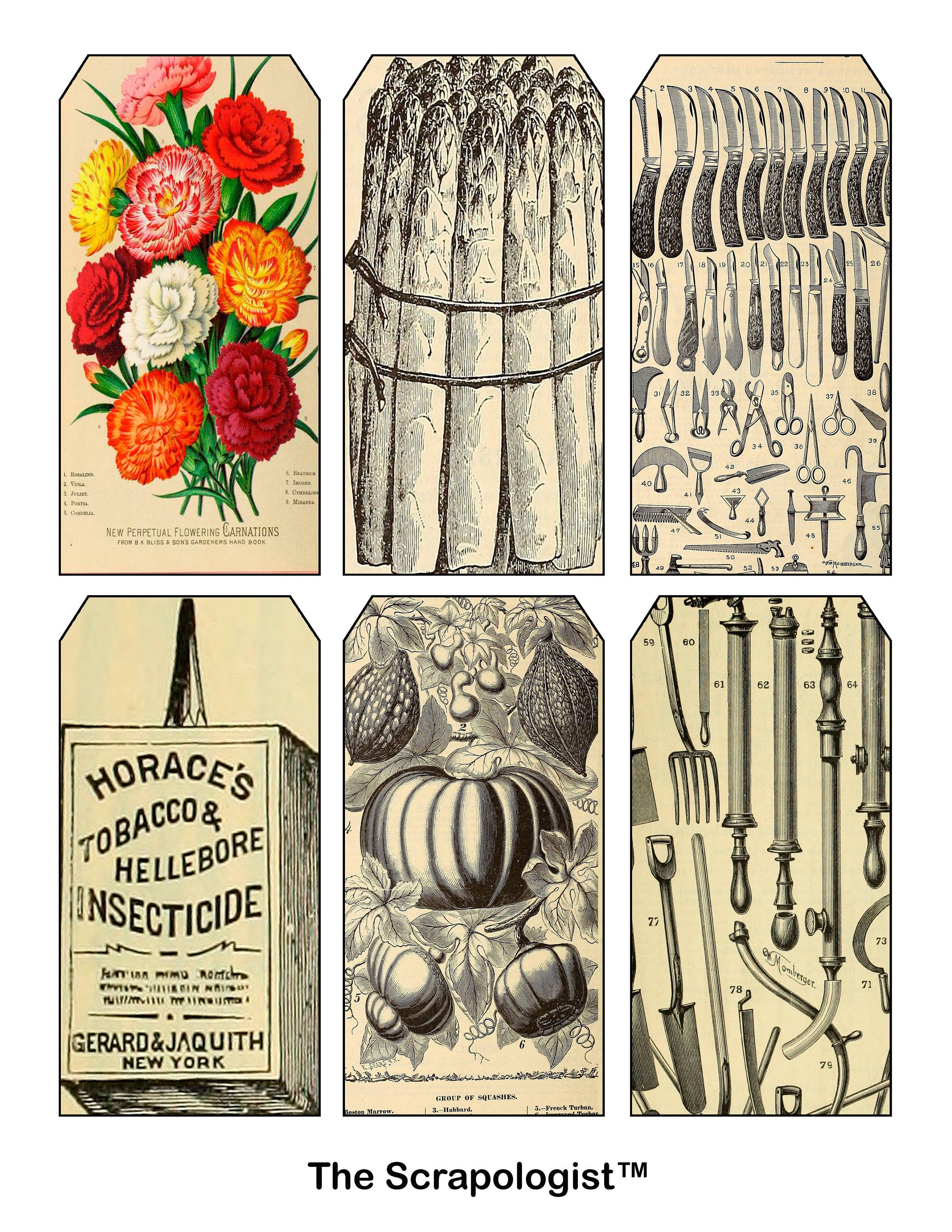 DIY Planner for your Garden, Botanical Junk Journal Kit, Collage Papers  | Digital Download