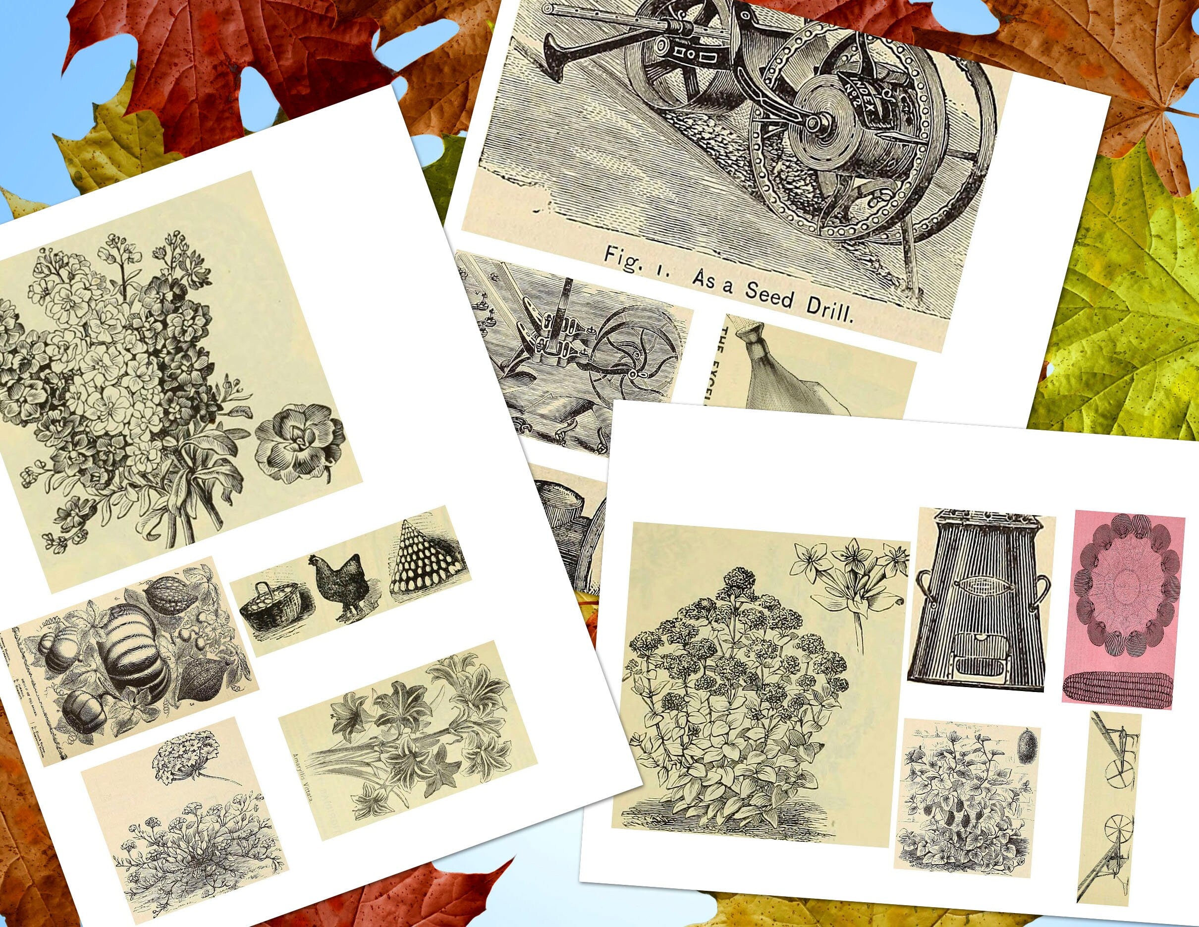 DIY Planner for your Garden, Botanical Junk Journal Kit, Collage Papers  | Digital Download