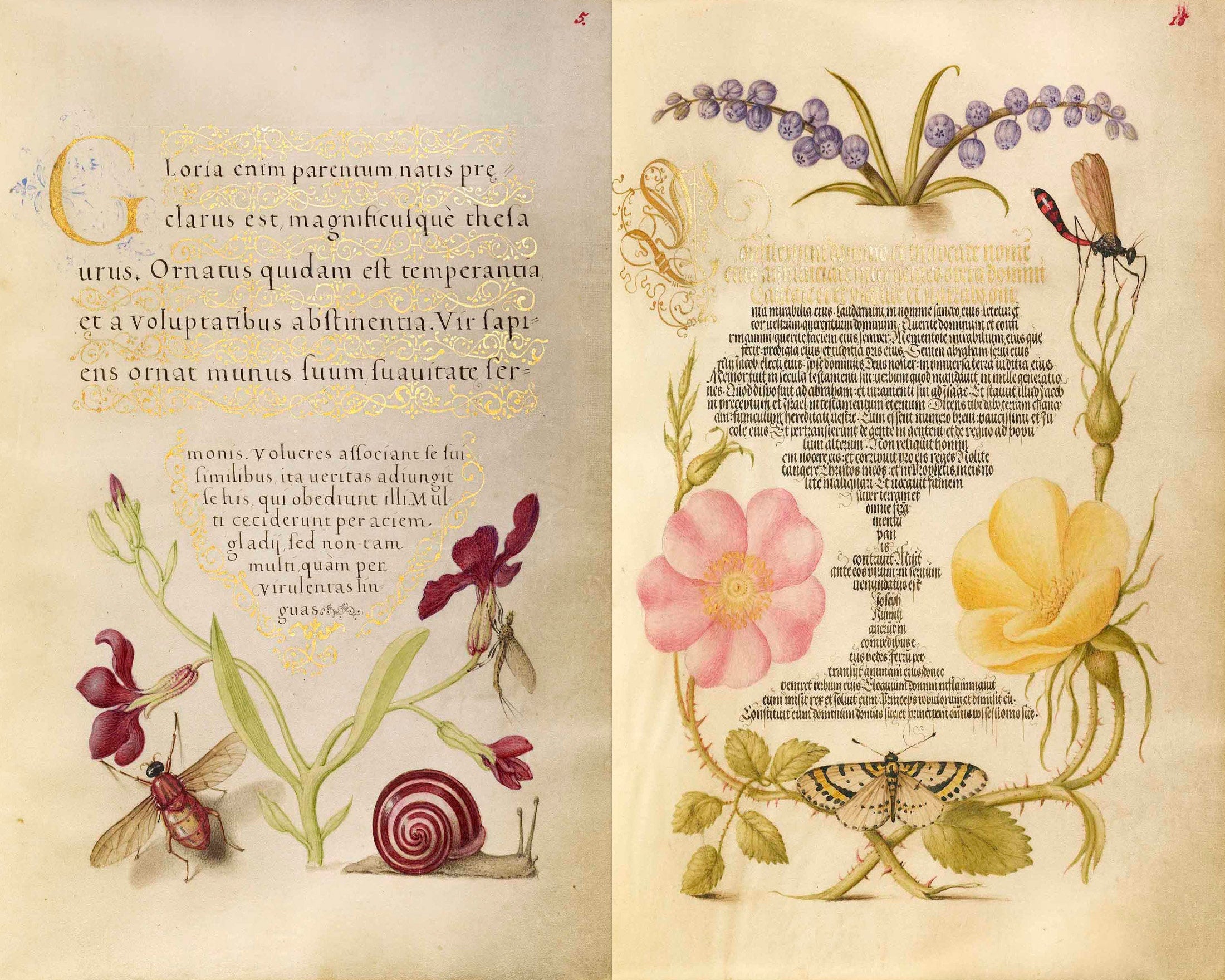 Calligraphy & Flowers, Junk Journal Ephemera, Printable Journal Kit, Collage papers | Digital Download