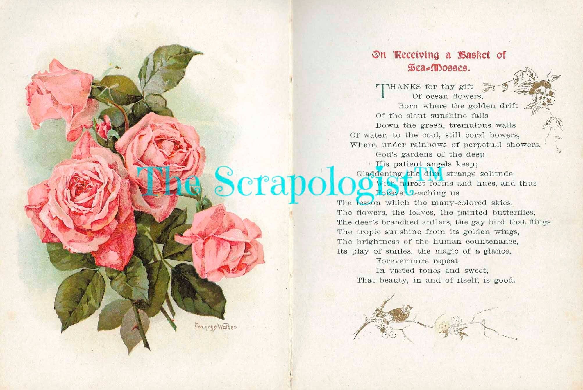 Poetry and Flowers Junk Journal Kit, Poems by John Greenleaf Whittier, DIY Booklet, Collage Papers | Digital Download