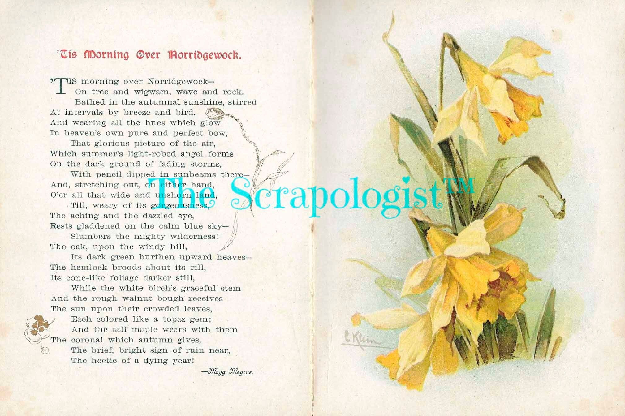 Poetry and Flowers Junk Journal Kit, Poems by John Greenleaf Whittier, DIY Booklet, Collage Papers | Digital Download