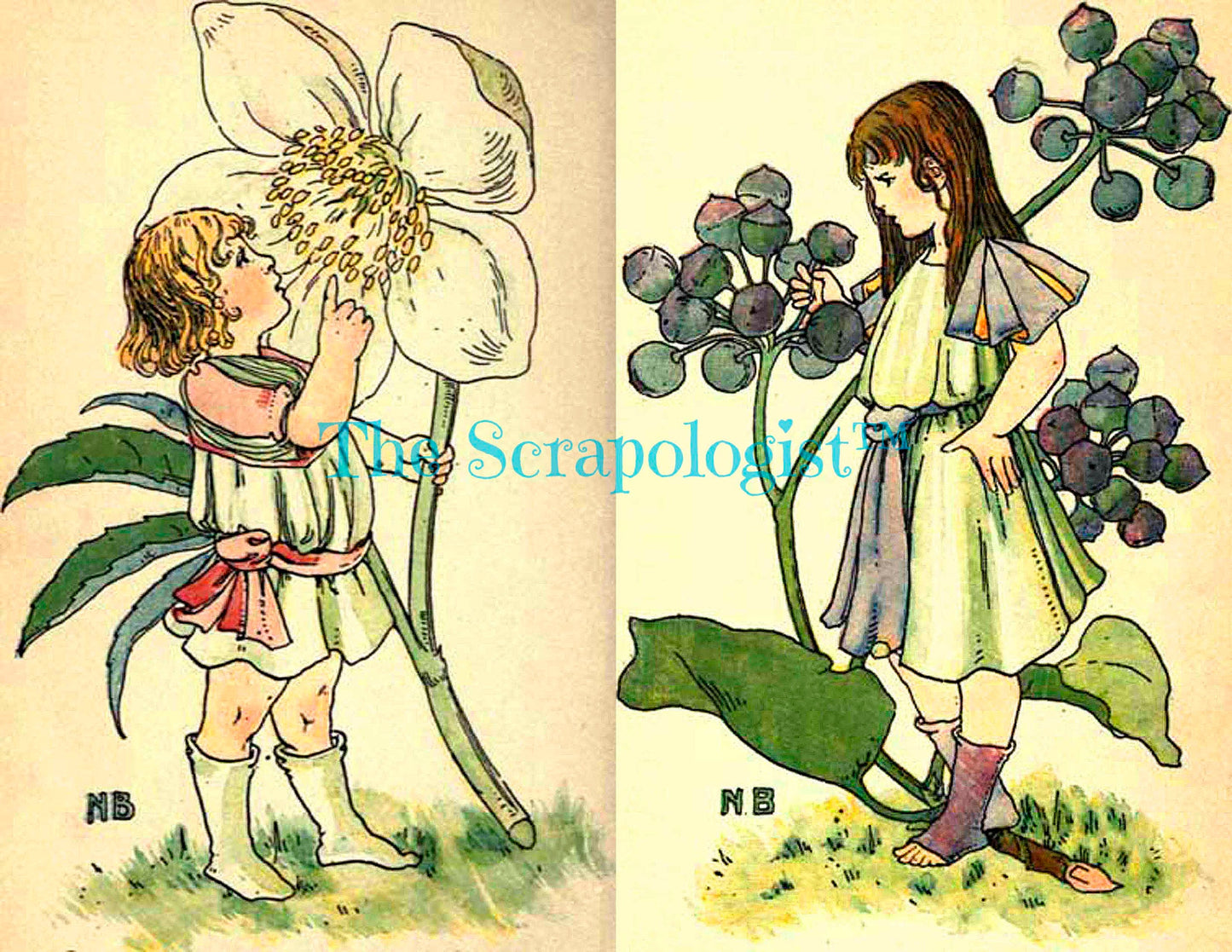 The Dumpy Children Book, Vintage Flowers, Fairies, Printable Junk Journal Kit, Page Inserts | Digital download
