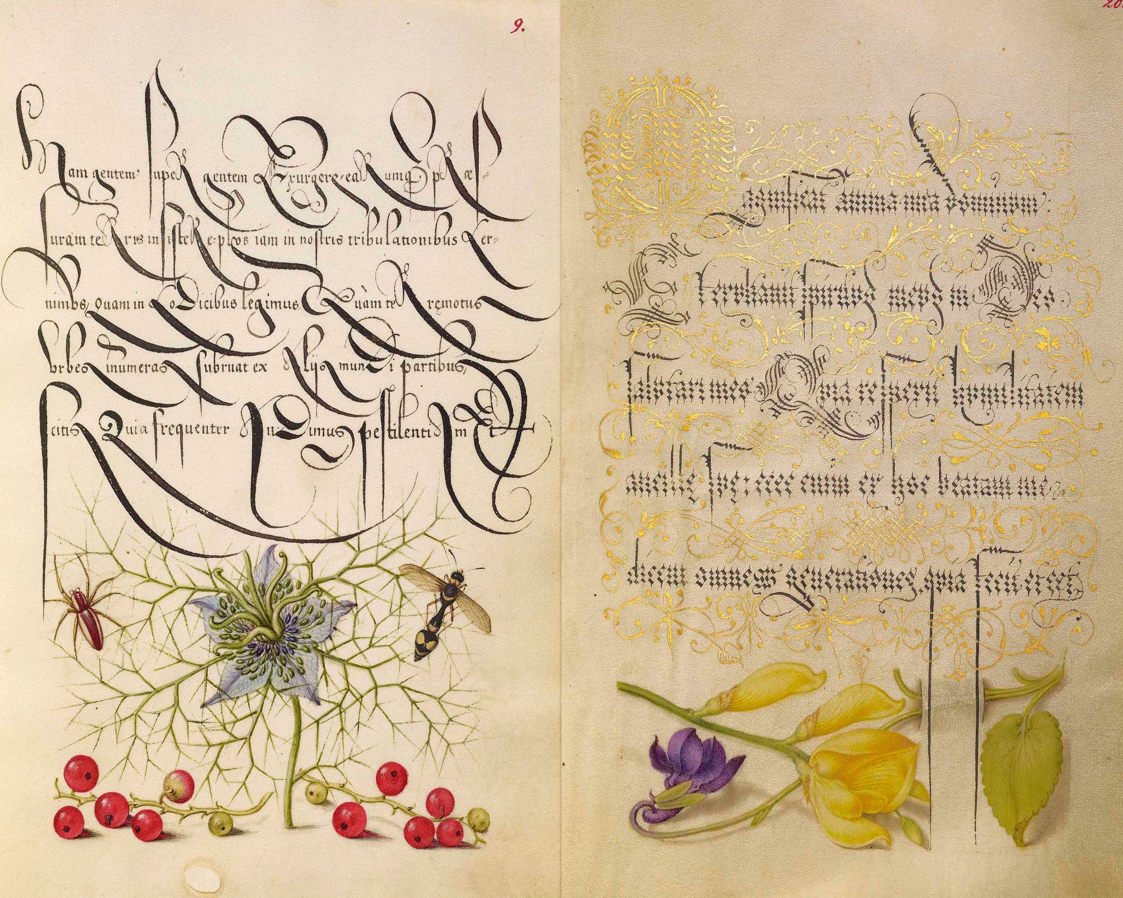 Calligraphy & Flowers, Junk Journal Ephemera, Printable Journal Kit, Collage papers | Digital Download