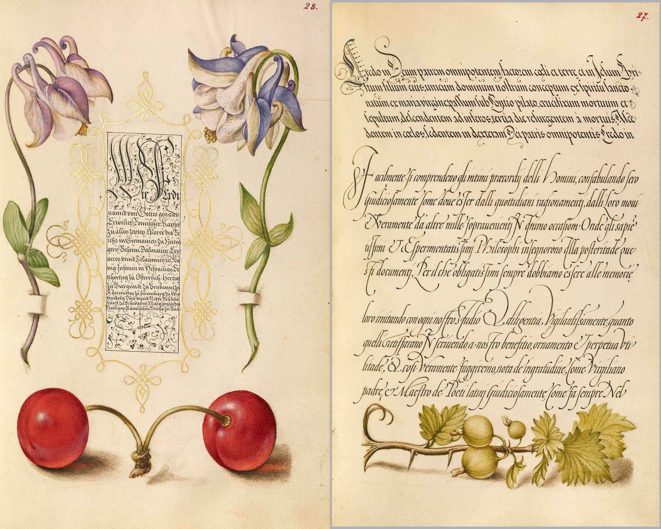 Calligraphy & Flowers, Junk Journal Ephemera, Printable Journal Kit, Collage papers | Digital Download