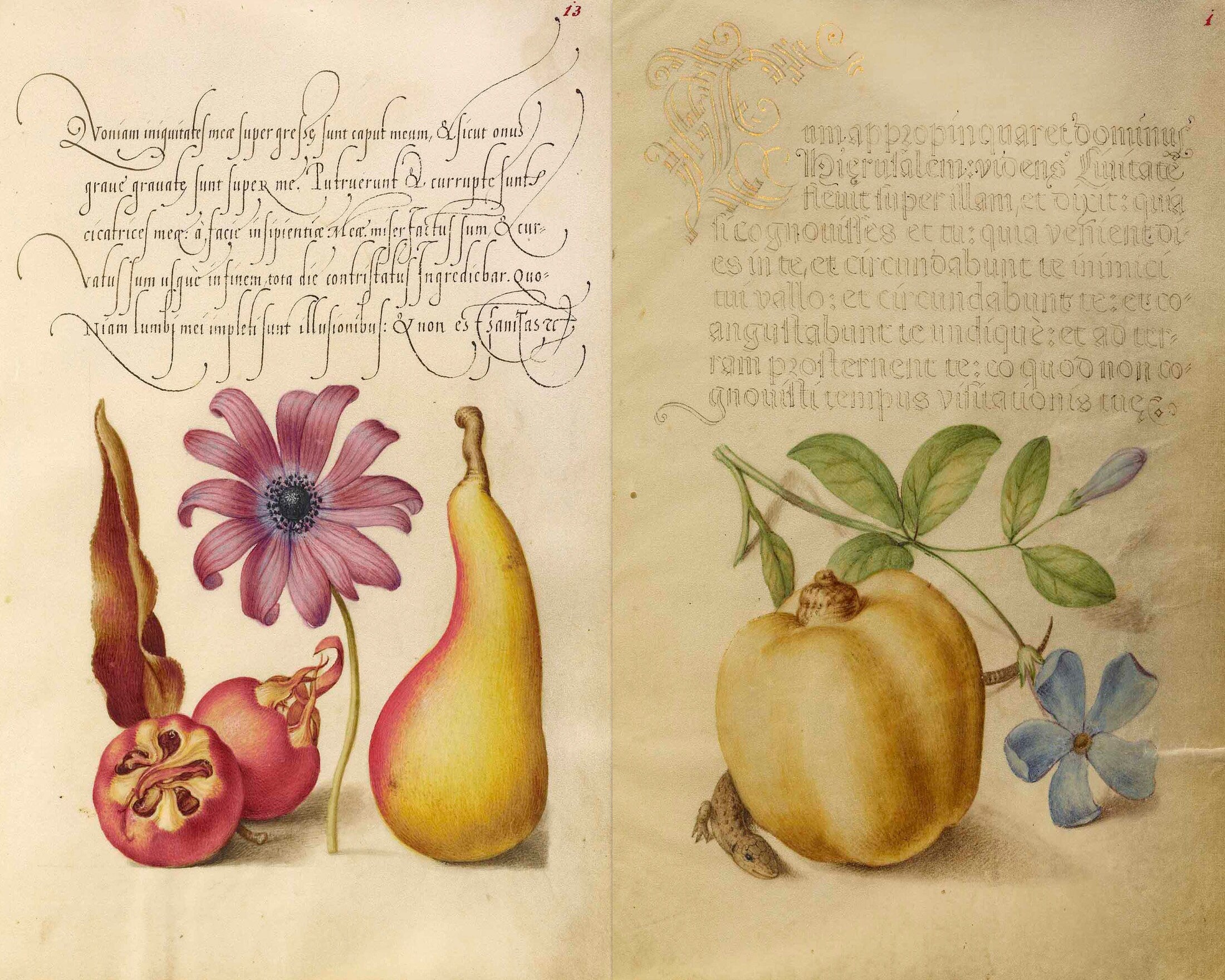 Calligraphy & Flowers, Junk Journal Ephemera, Printable Journal Kit, Collage papers | Digital Download