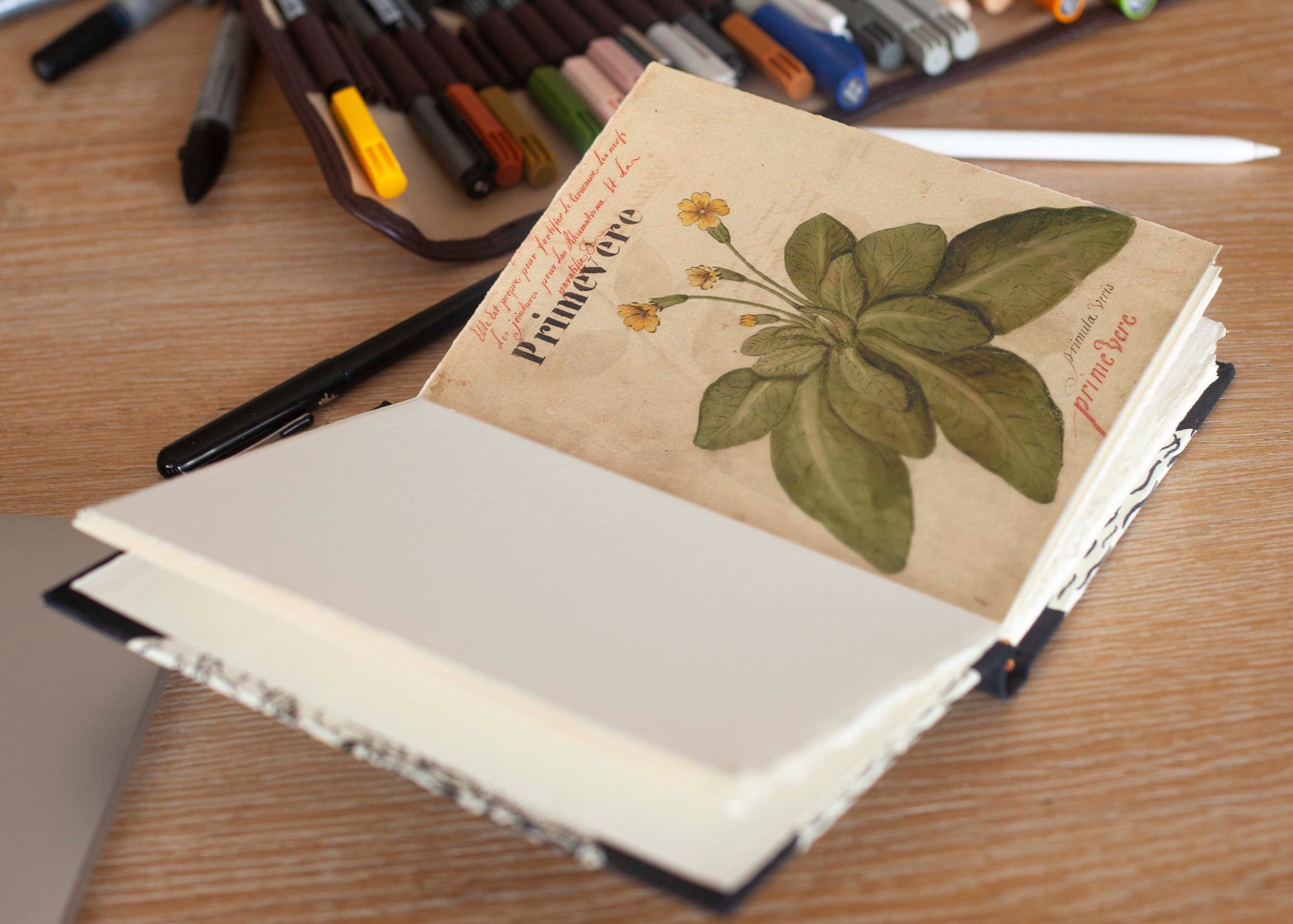 Botanical Junk Journal Kit - Great for Beginner, DIY, Watercolor Plants and Flowers | Digital Download