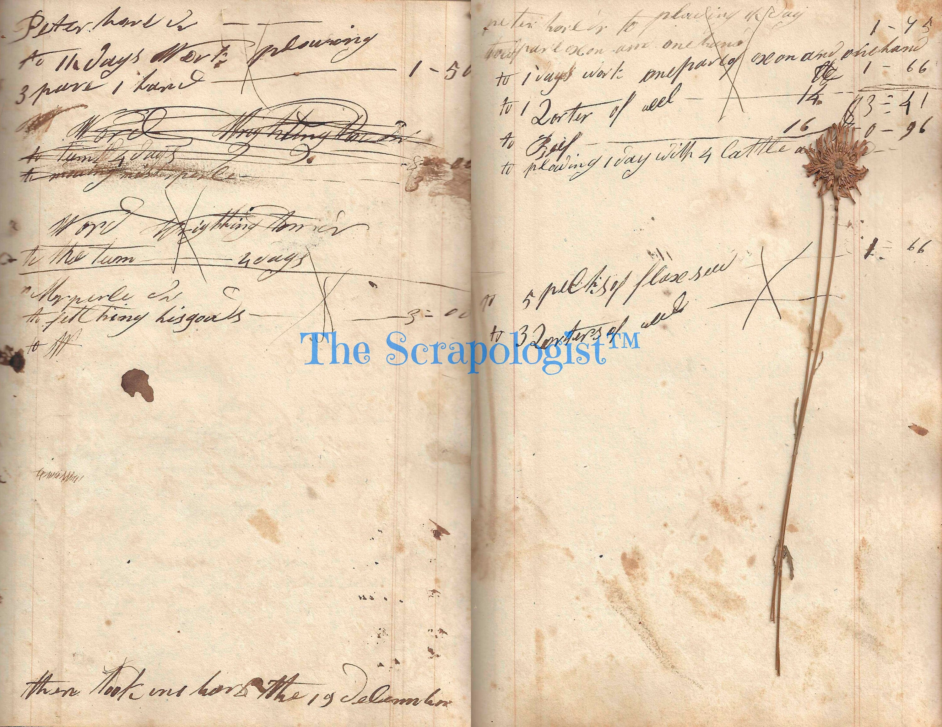 Antique Farmer's Accounting Ledger, Junk Journal Page Inserts, from 1808, Printable Ephemera Pack | Digital Download