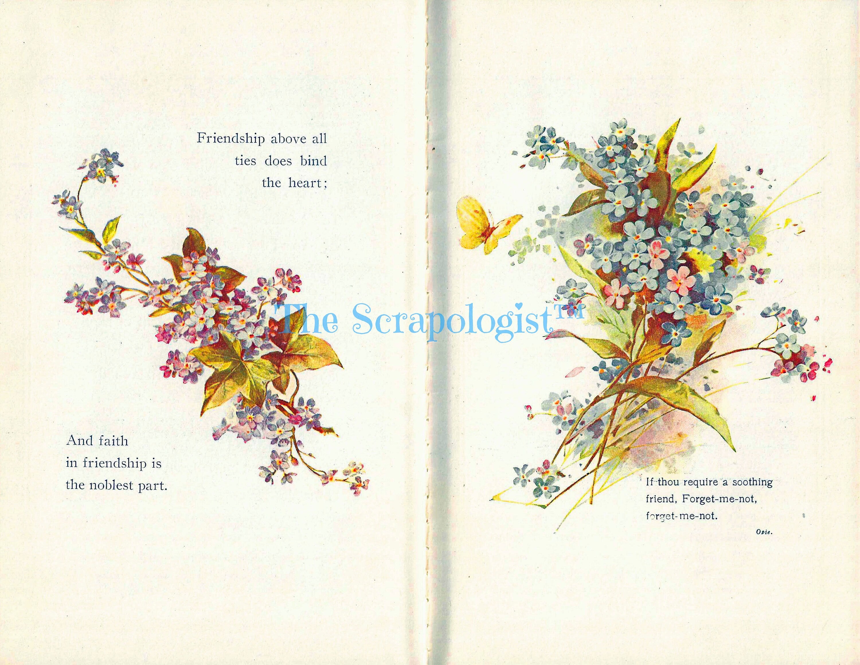 Friendship Memory Book, DIY Junk Journal or Scrapbook Album Kit, Vintage Ephemera, Page Inserts, Collage Papers | Digital Download