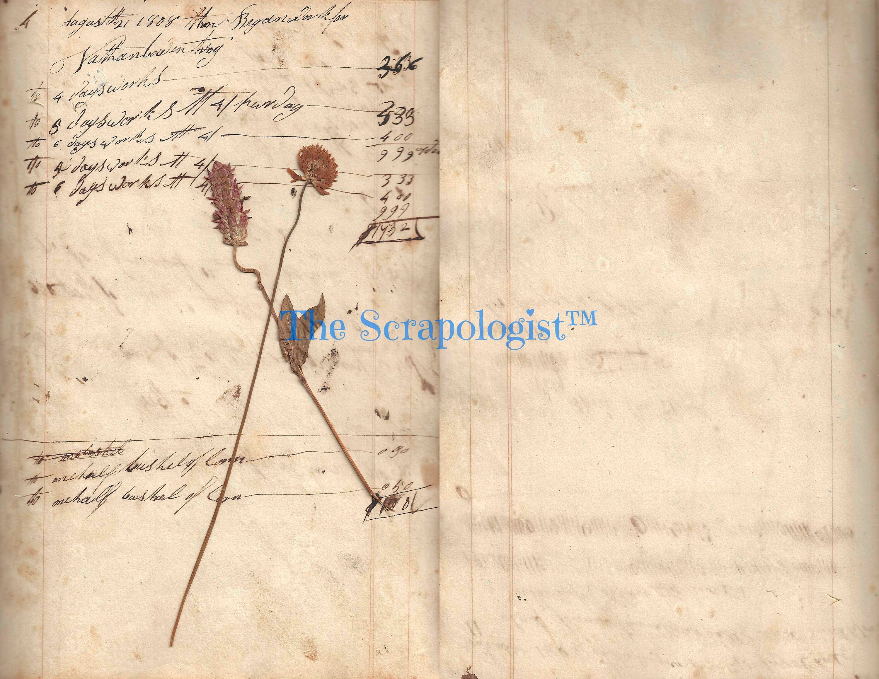 Antique Farmer's Accounting Ledger, Junk Journal Page Inserts, from 1808, Printable Ephemera Pack | Digital Download