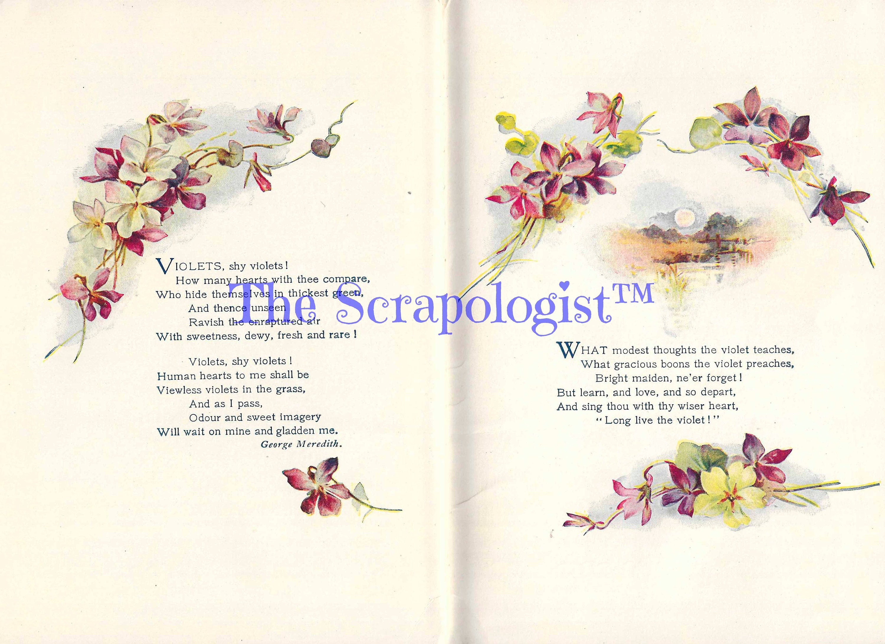 Book of Violets, Victorian Poetry illustrated with color paintings, DIY Junk Journal or Mini Album Kit, Collage Papers | Digital Download