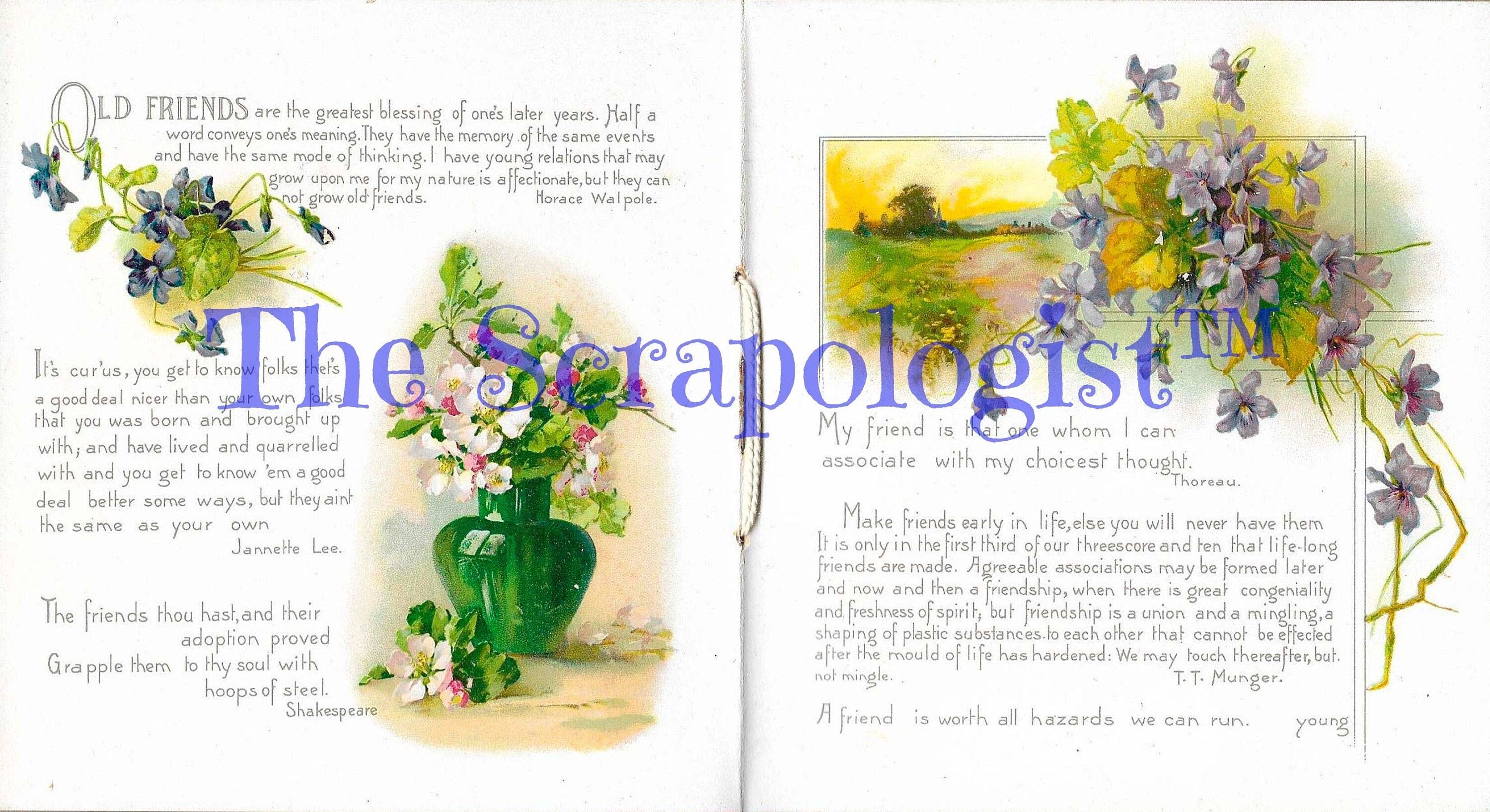 Friendship Memory Book, DIY Junk Journal or Mini Album Kit, Vintage Ephemera, Page Inserts, Collage Papers | Digital Download