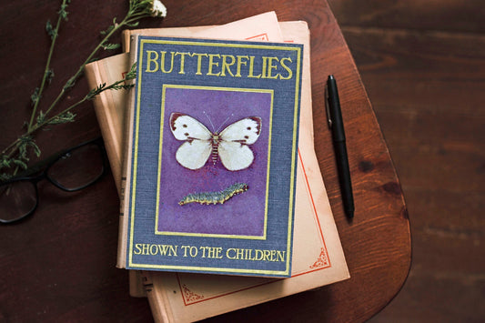Butterflies & Caterpillars, Mini Book, DIY Junk Journal or Mini Album Kit, Vintage Ephemera, Page Inserts, Collage Papers | Digital Download